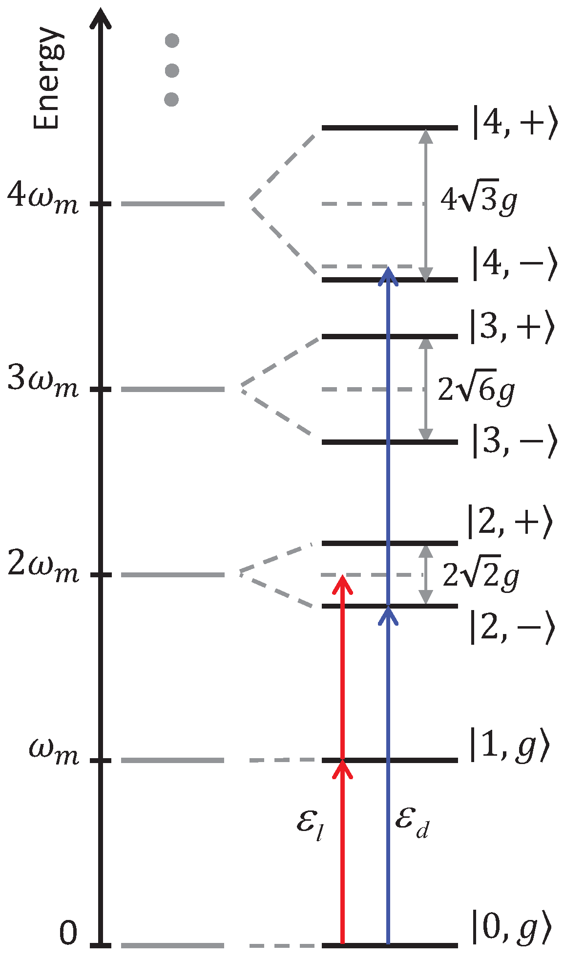 Magnetochemistry 10 00041 g001 Magnetochemistry 10 00041 g001