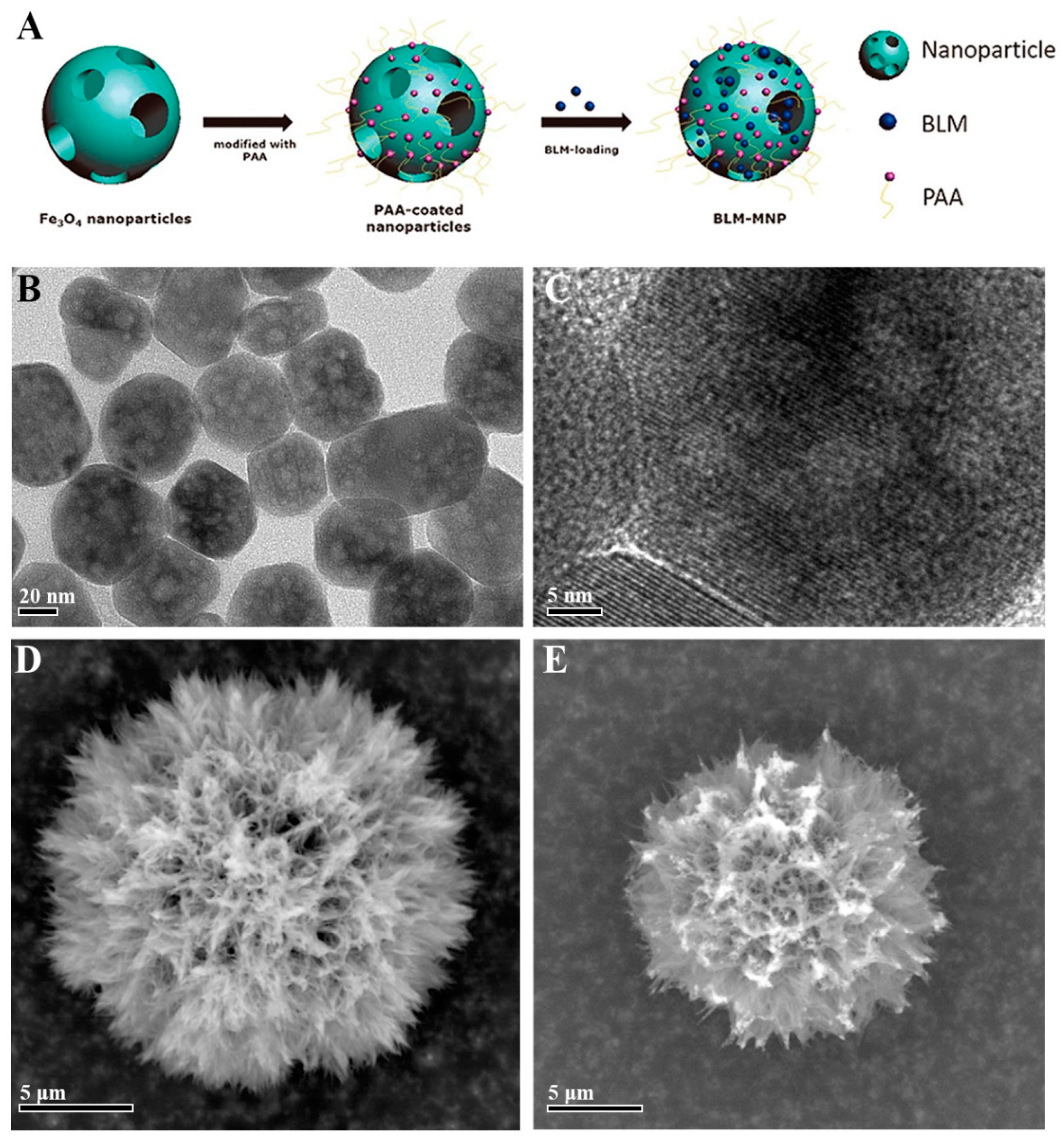 Magnetochemistry 10 00046 g003