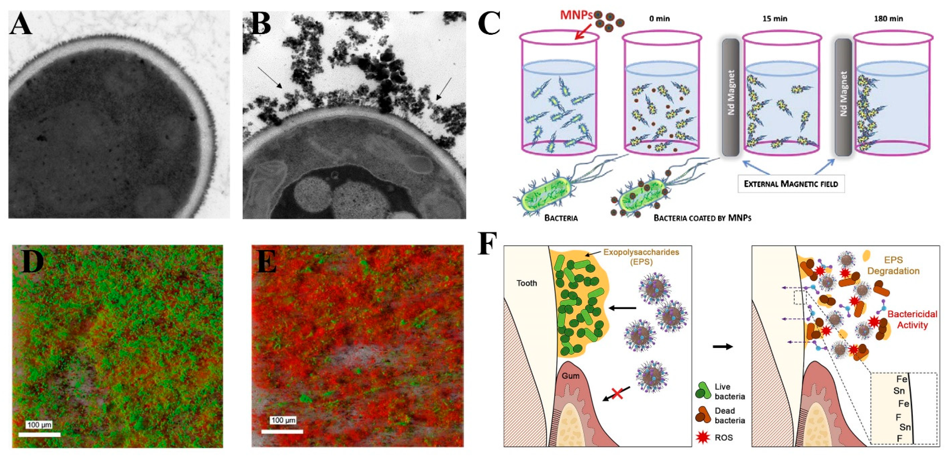 Magnetochemistry 10 00046 g010
