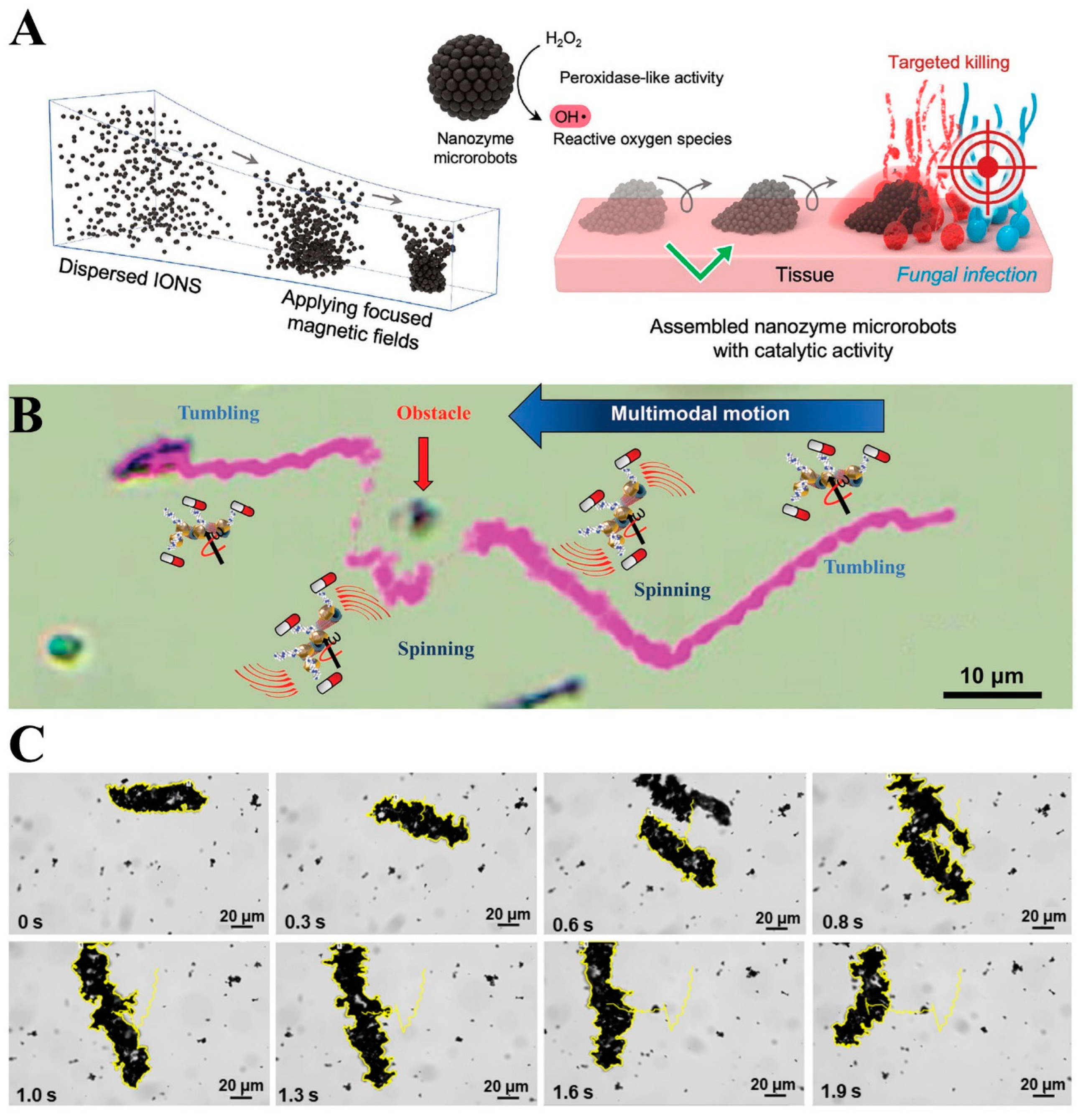 Magnetochemistry 10 00046 g011