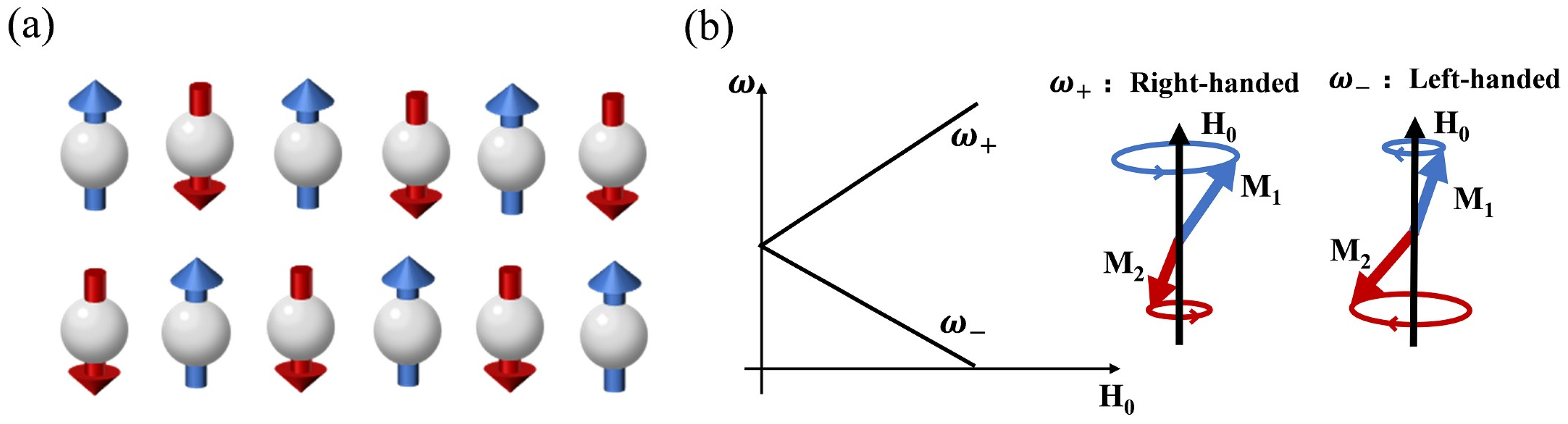 Magnetochemistry 10 00050 g003 Magnetochemistry 10 00050 g003