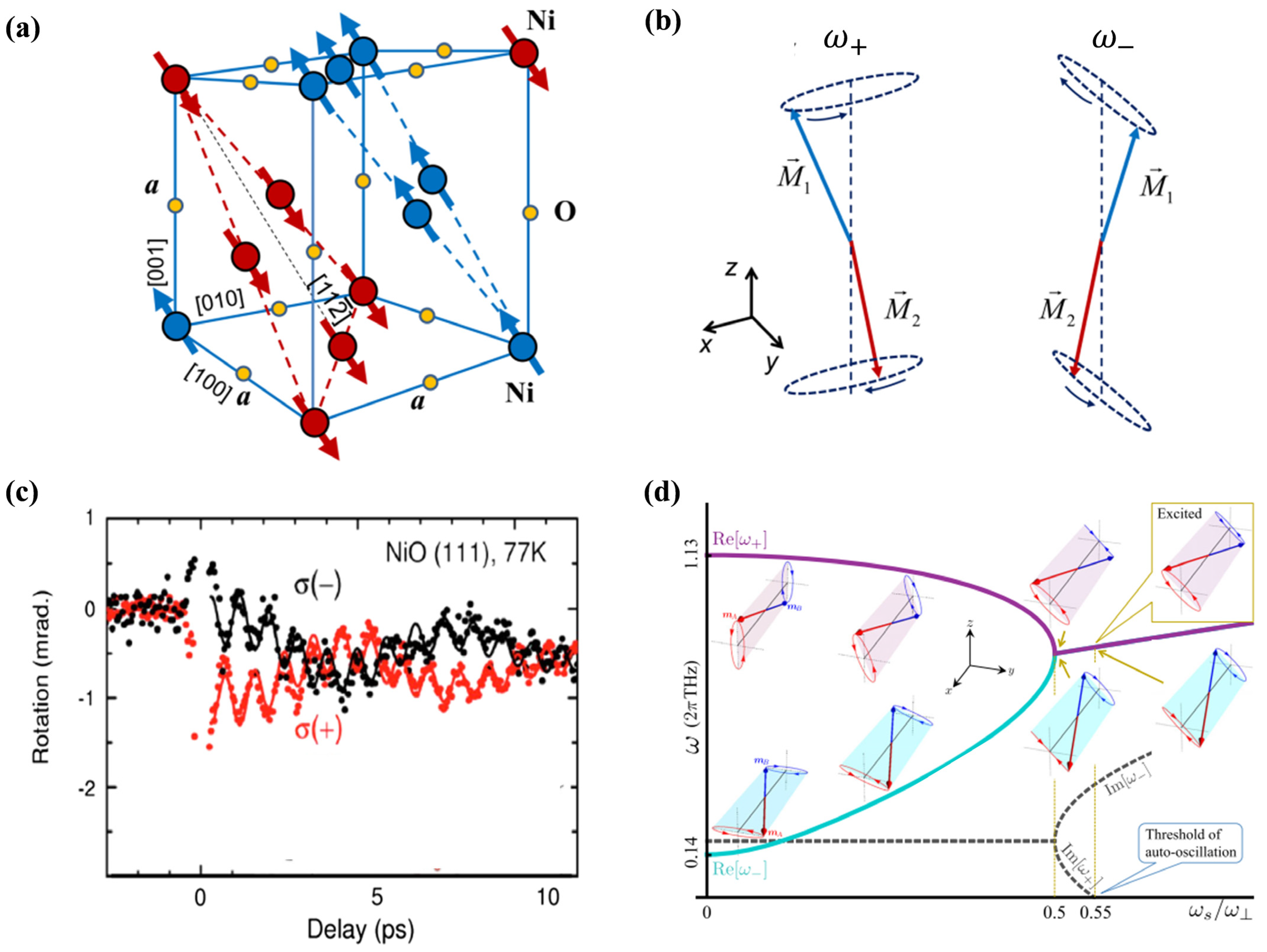Magnetochemistry 10 00050 g005 Magnetochemistry 10 00050 g005