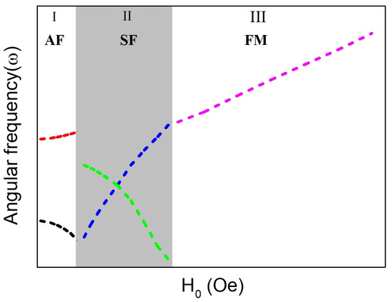 Magnon Excitation Modes in Ferromagnetic and
