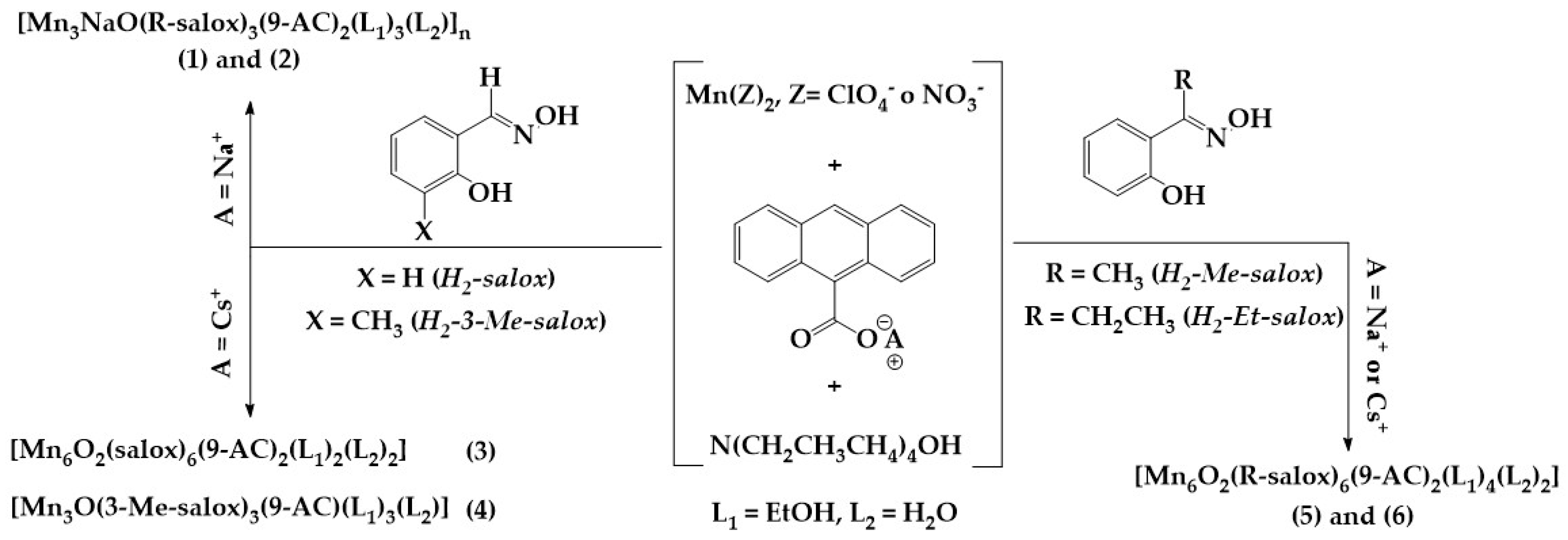 Magnetochemistry 10 00055 sch004
