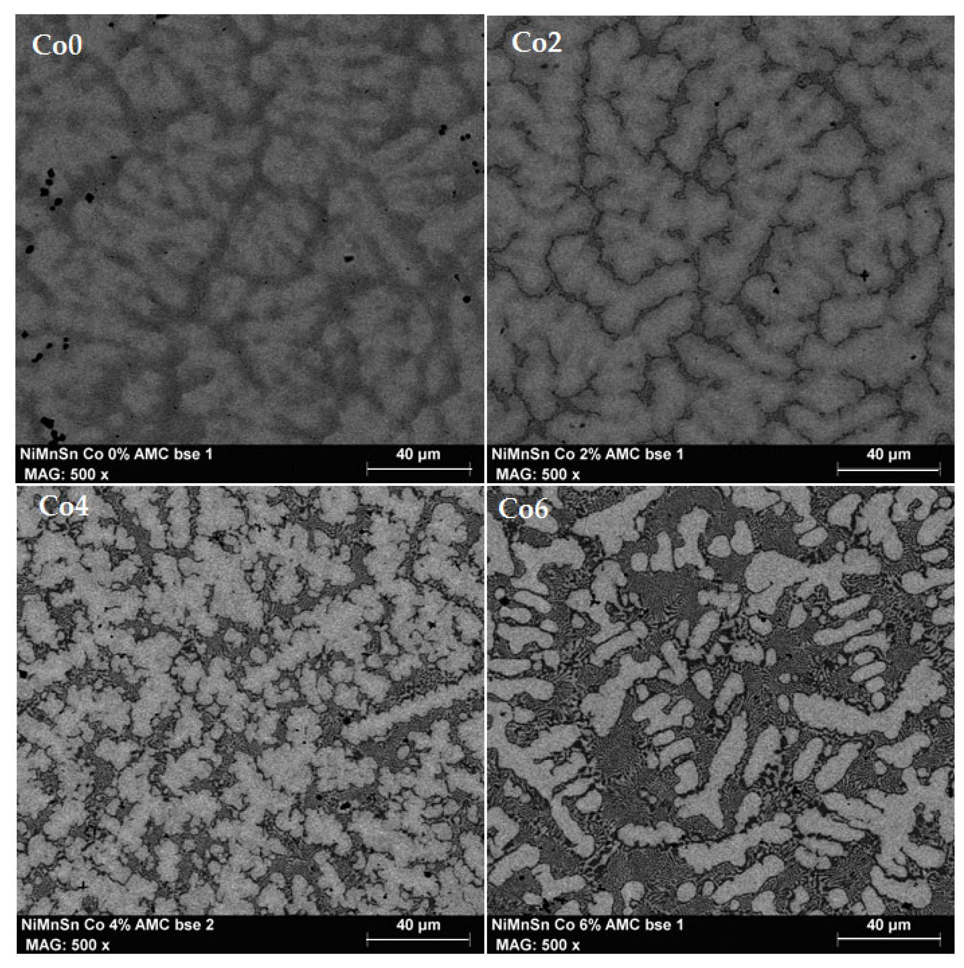 Magnetochemistry 10 00059 g005