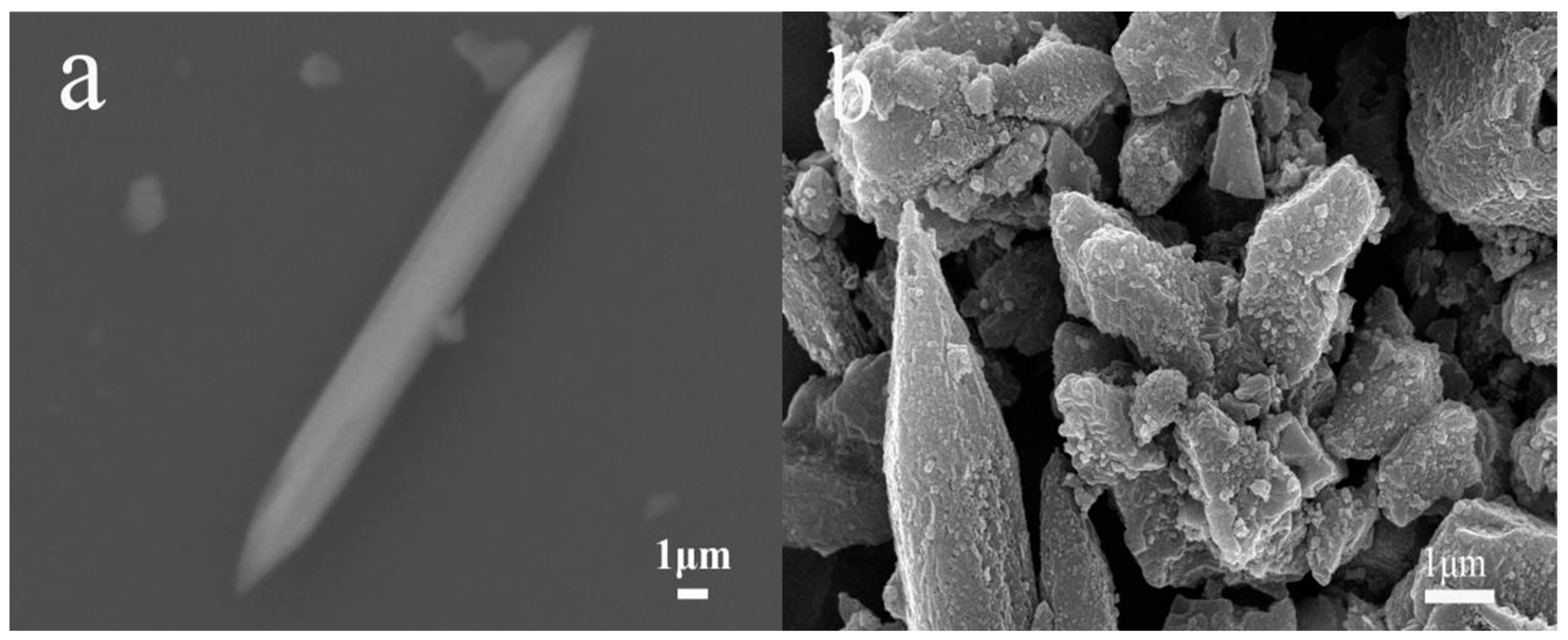 Magnetochemistry 10 00064 g004