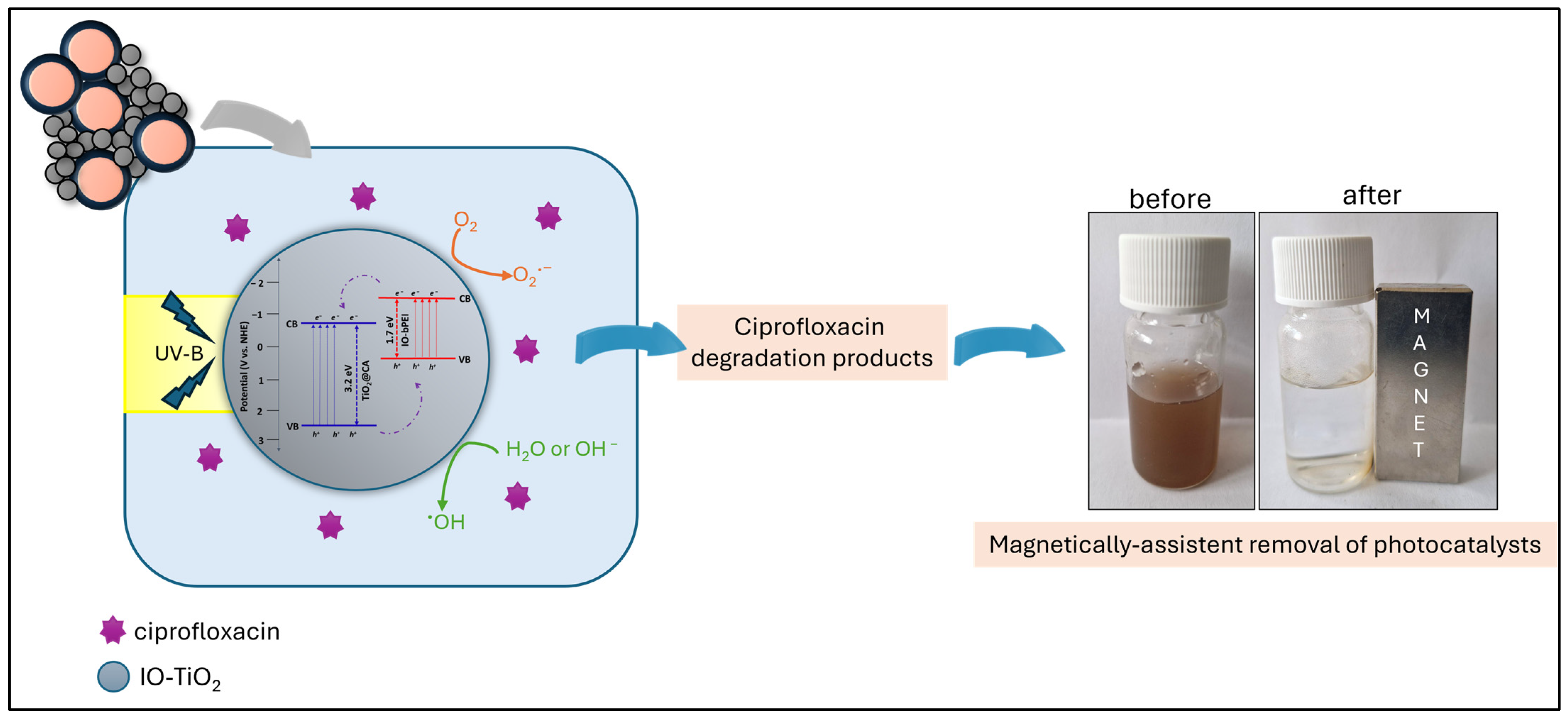 Magnetochemistry 10 00066 g014