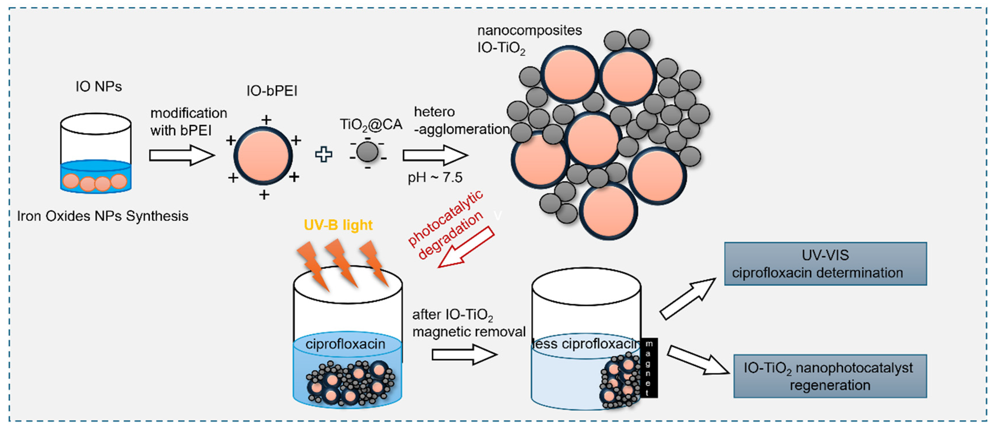 Magnetochemistry 10 00066 sch001