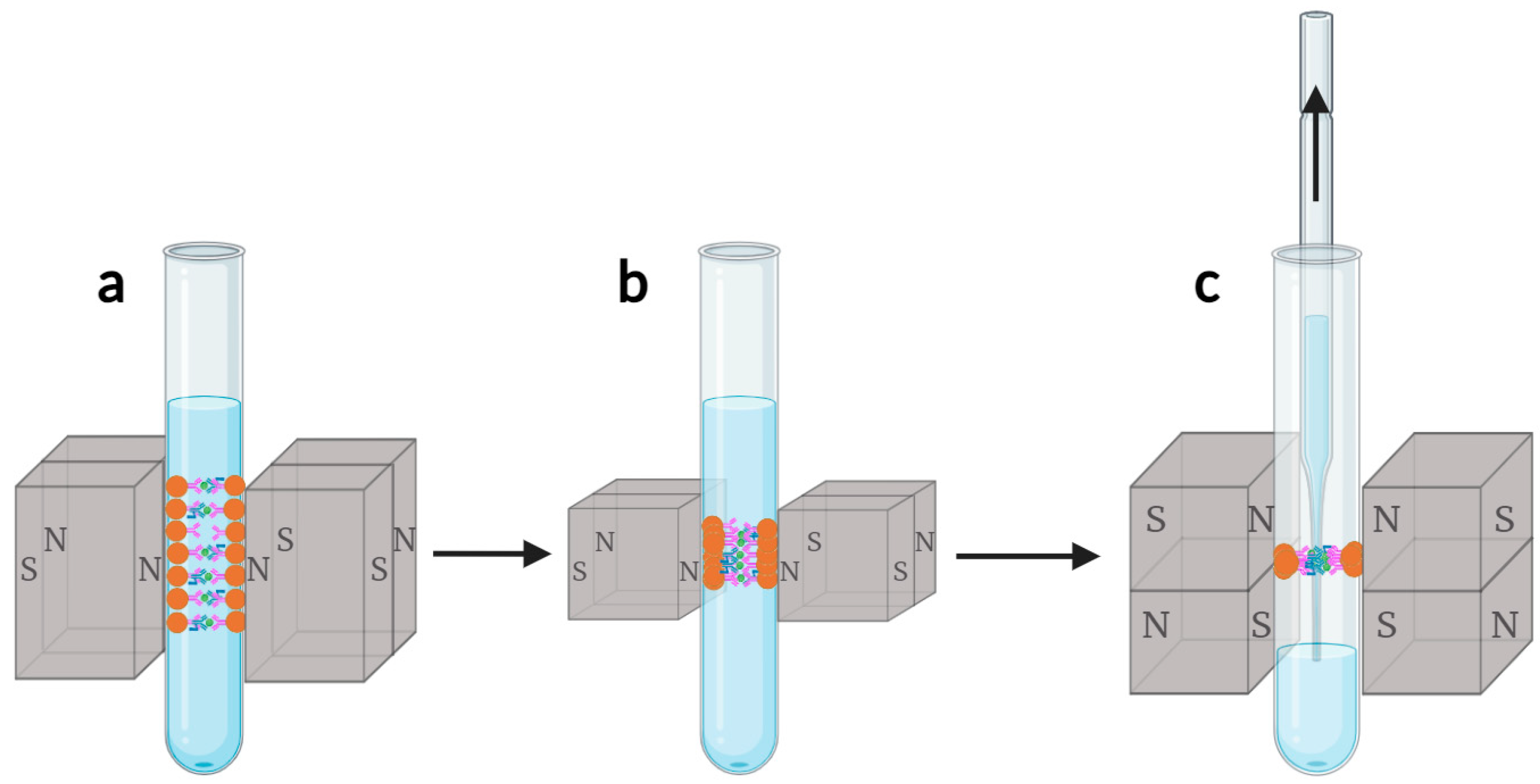 Magnetochemistry 10 00075 g004