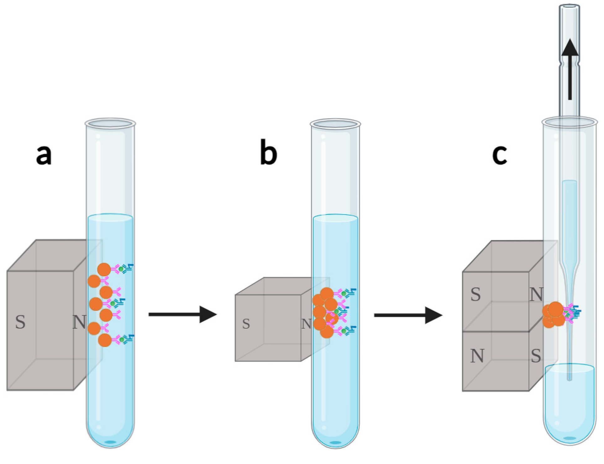 Magnetochemistry 10 00075 g006