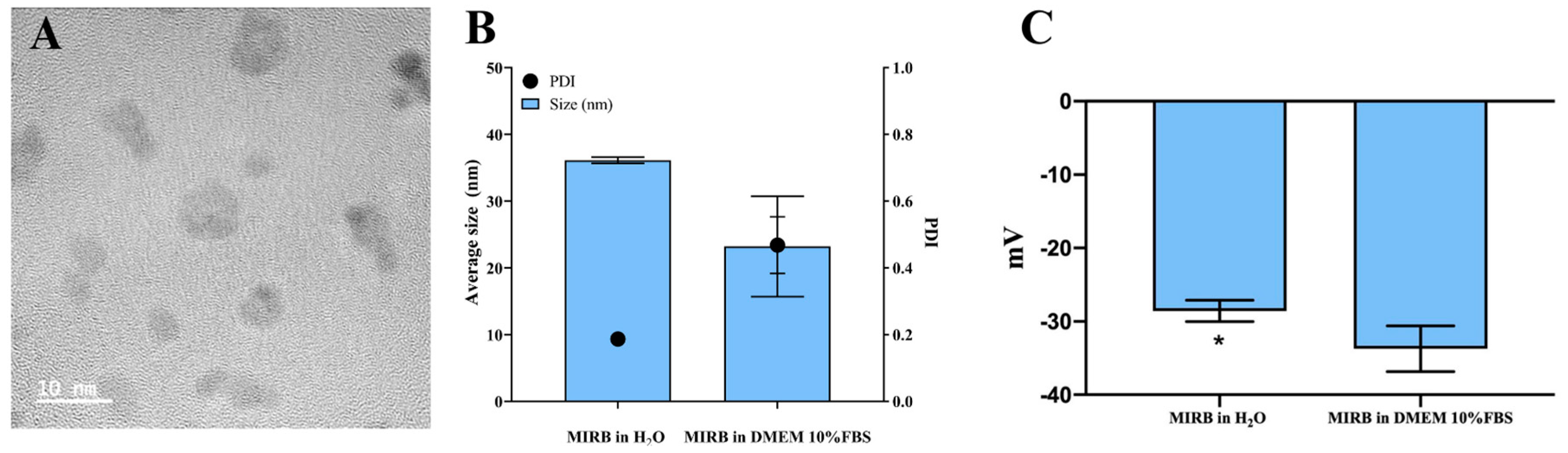 Magnetochemistry 10 00077 g001