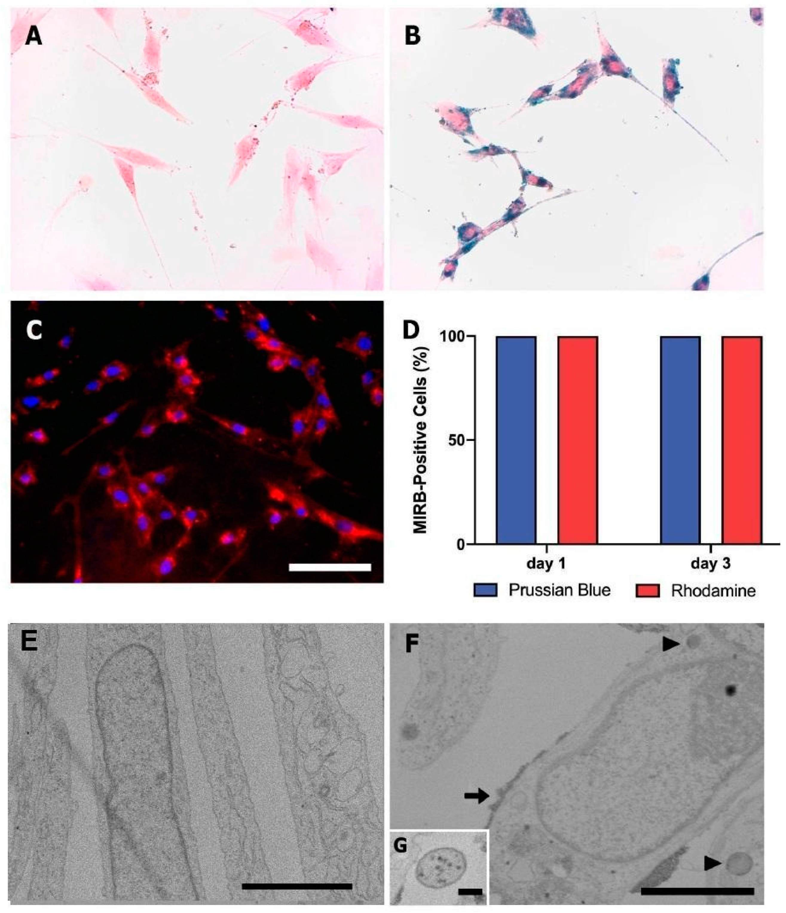 Magnetochemistry 10 00077 g002