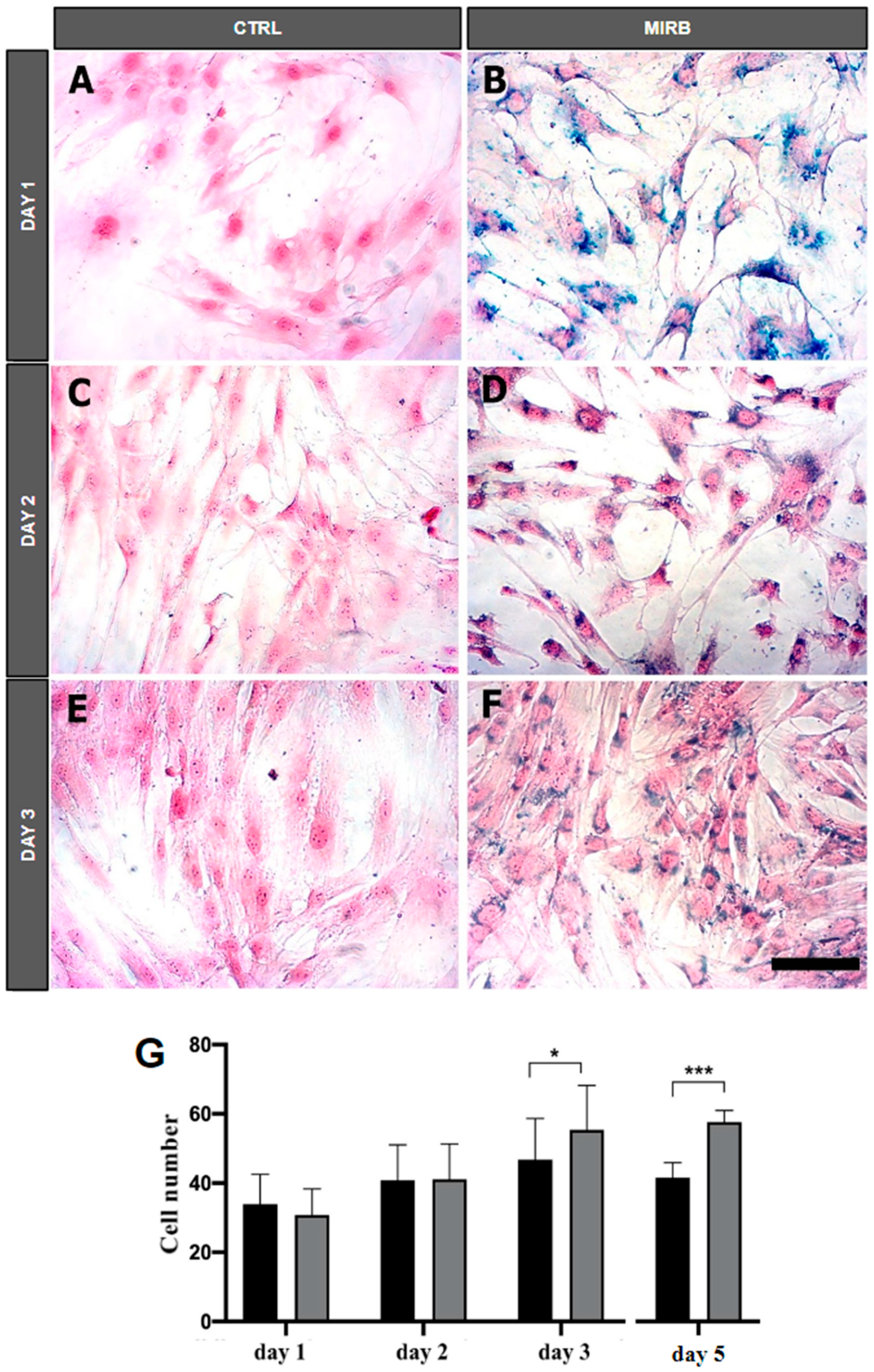 Magnetochemistry 10 00077 g004