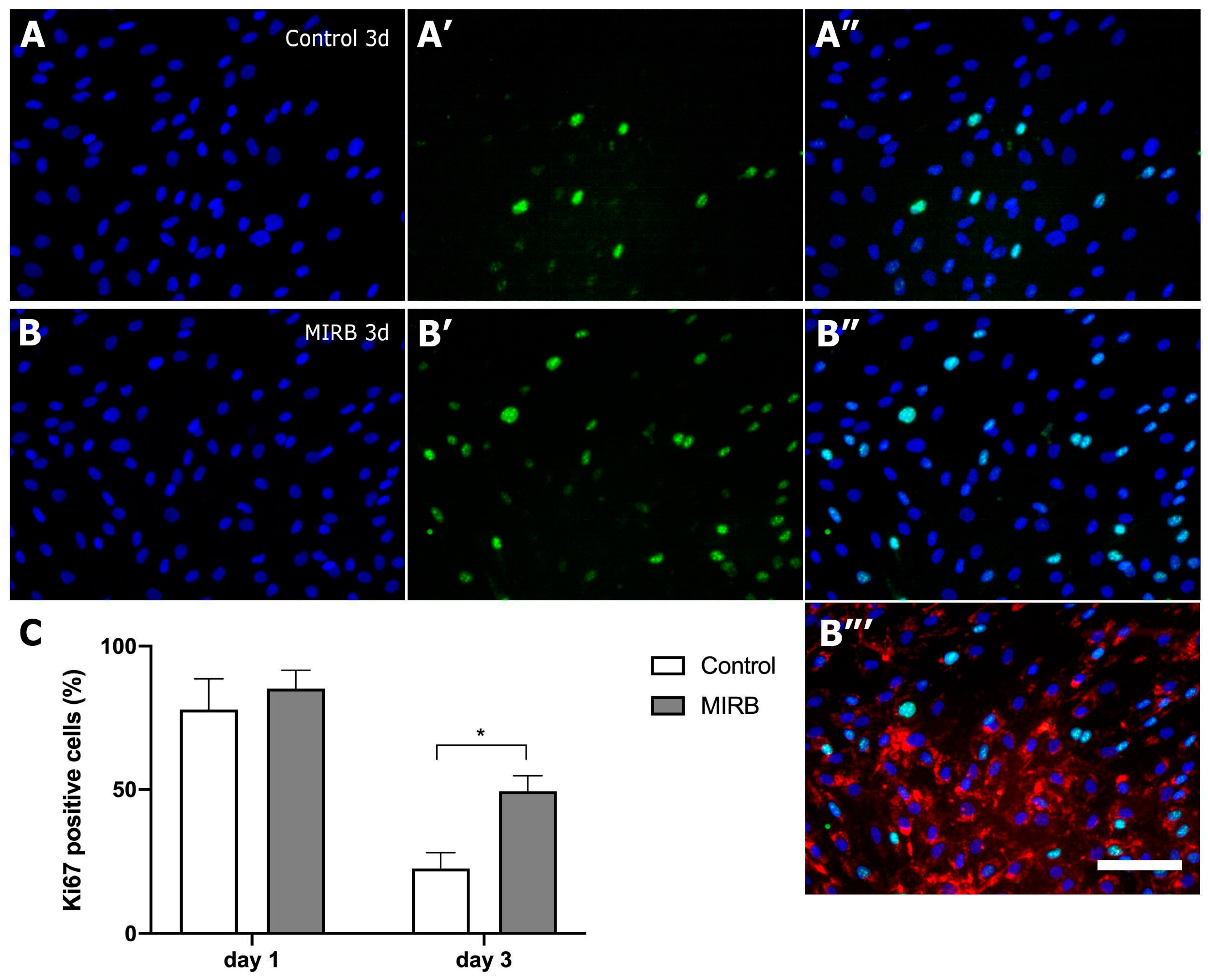 Magnetochemistry 10 00077 g005