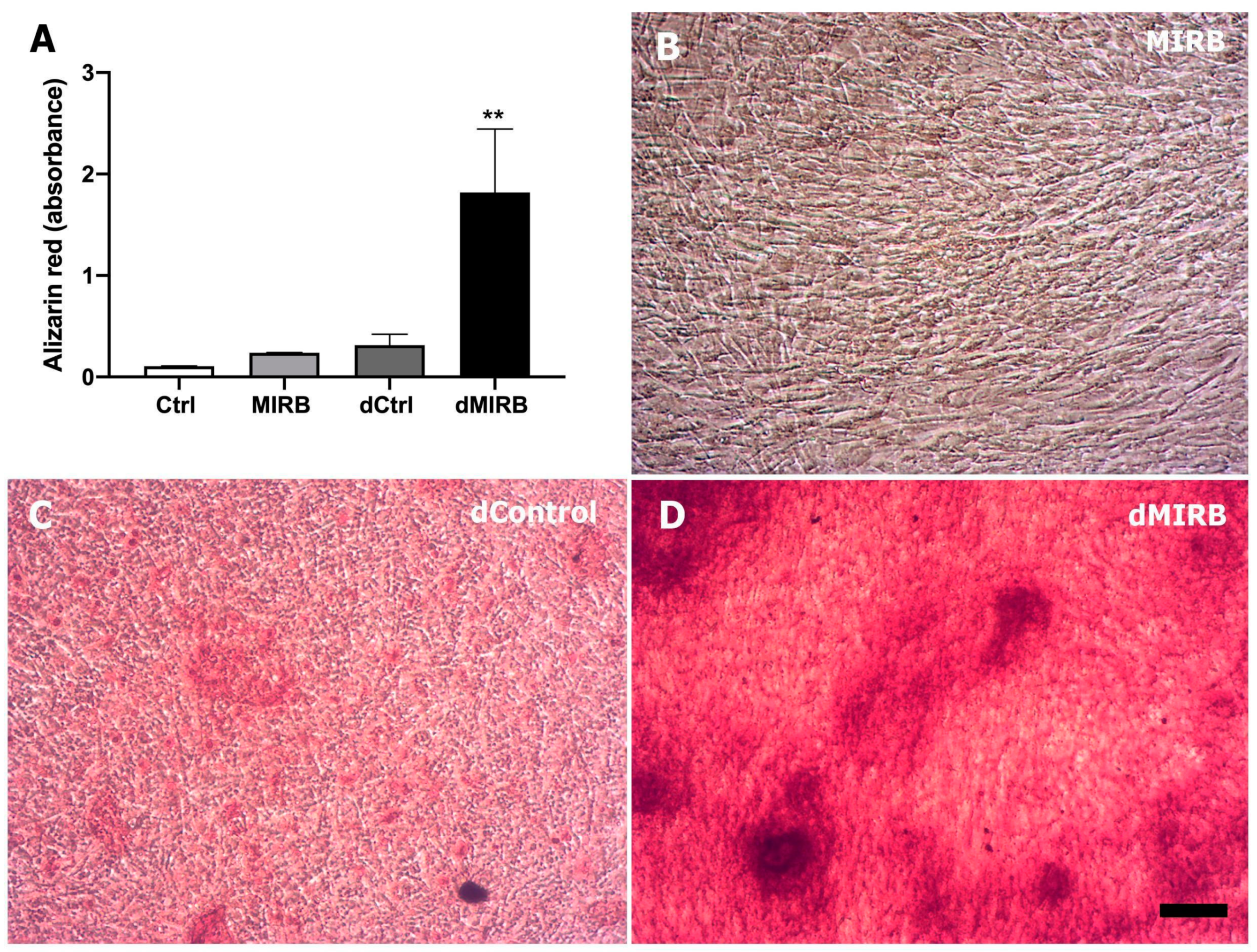 Magnetochemistry 10 00077 g007