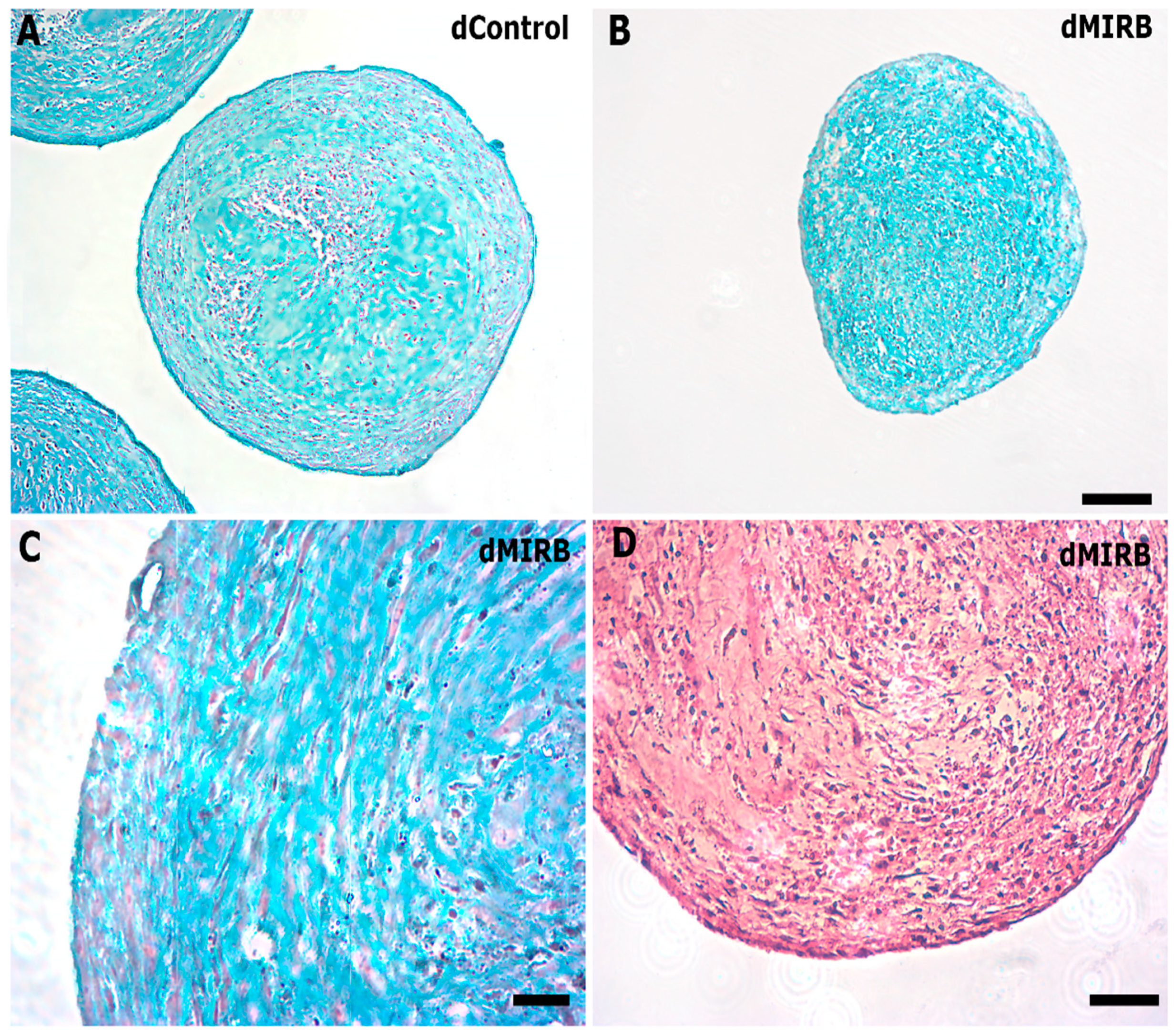 Magnetochemistry 10 00077 g008