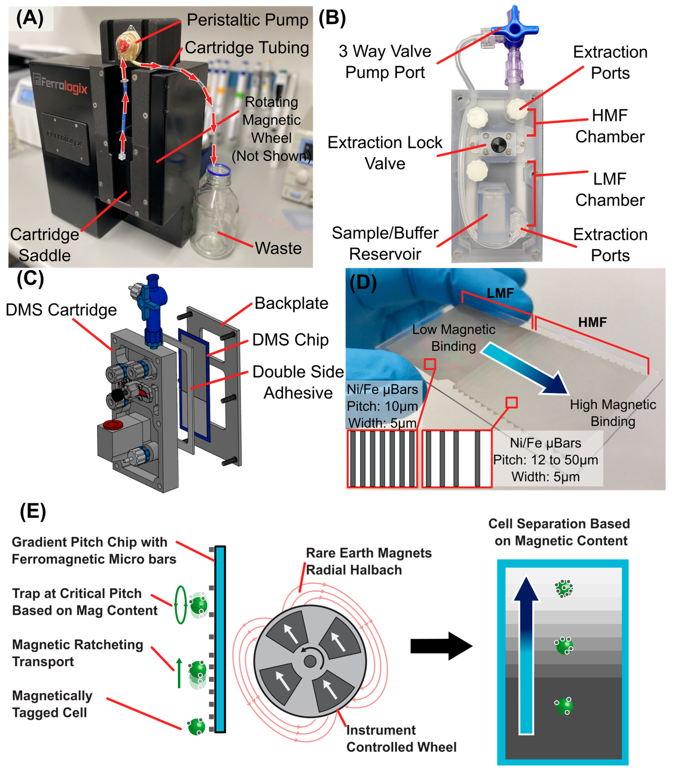 Magnetochemistry 10 00081 g0a2