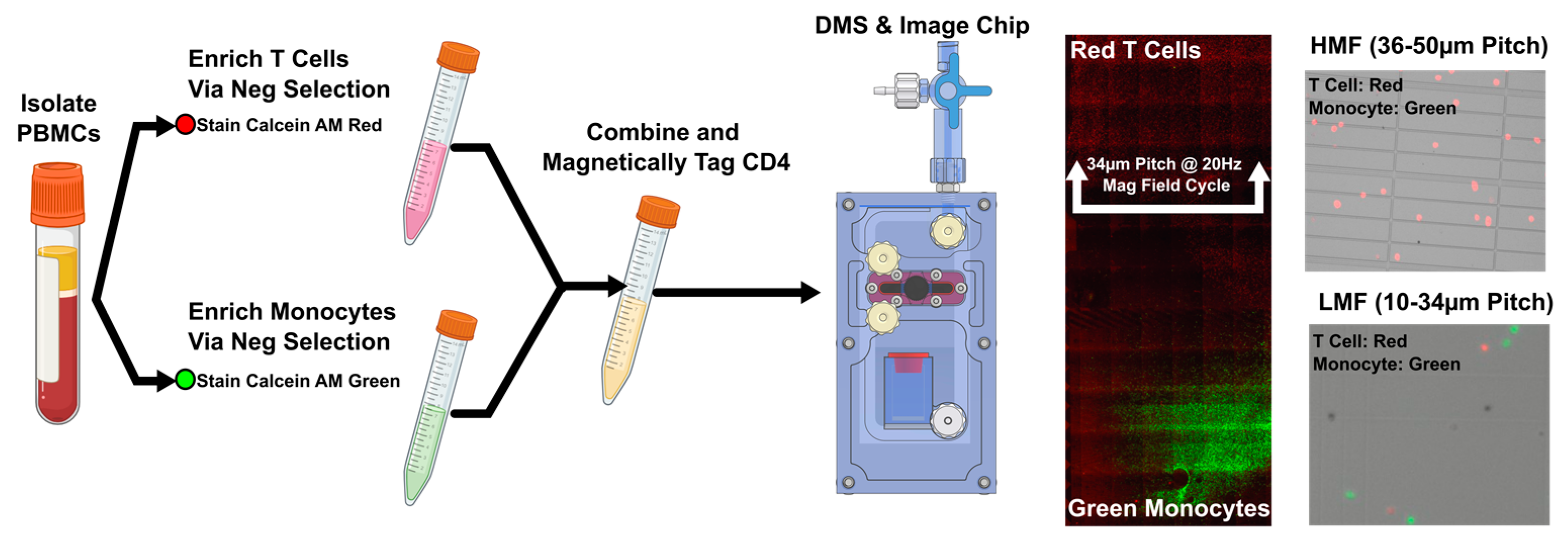 Magnetochemistry 10 00081 g0a4
