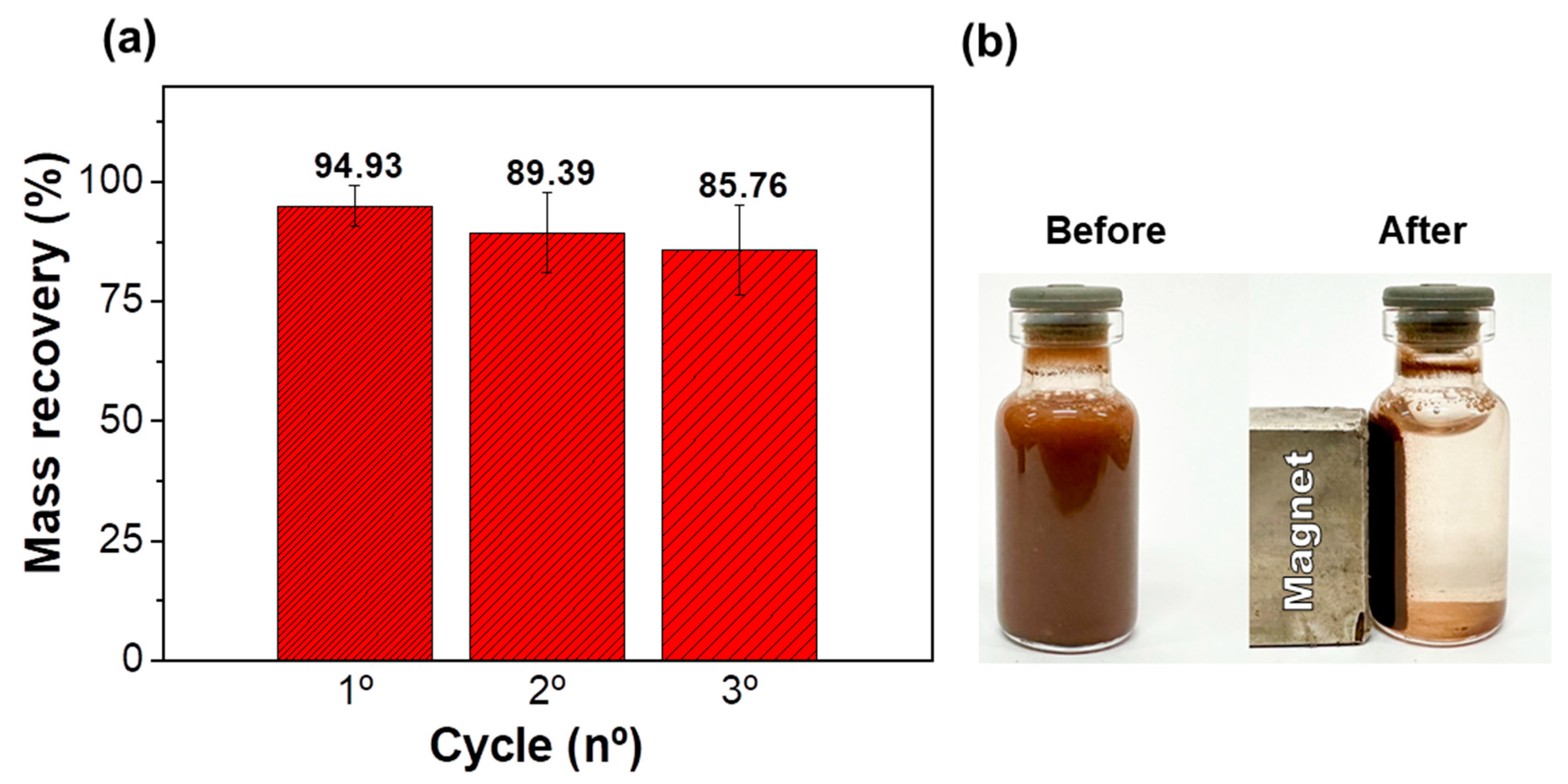 Magnetochemistry 10 00087 g017