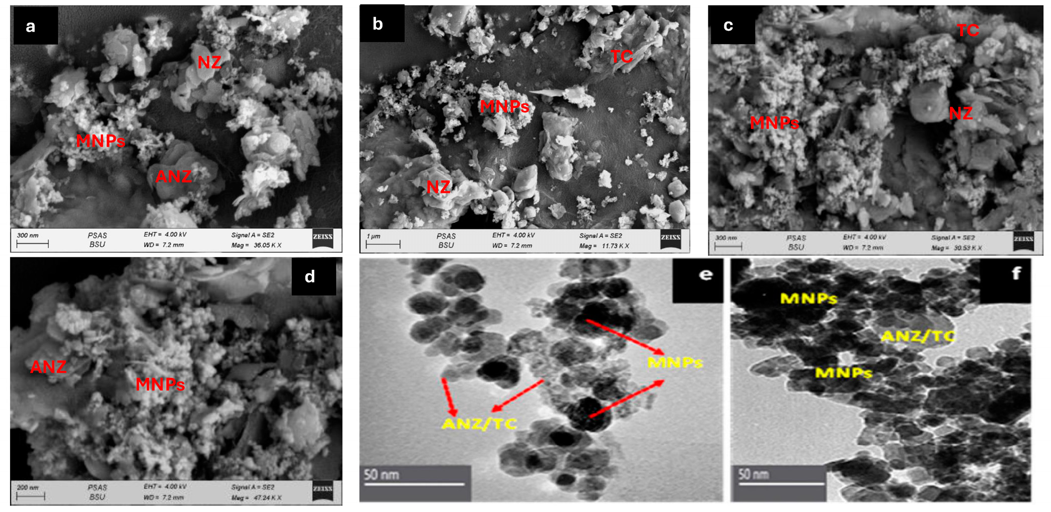 Magnetochemistry 10 00091 g004a