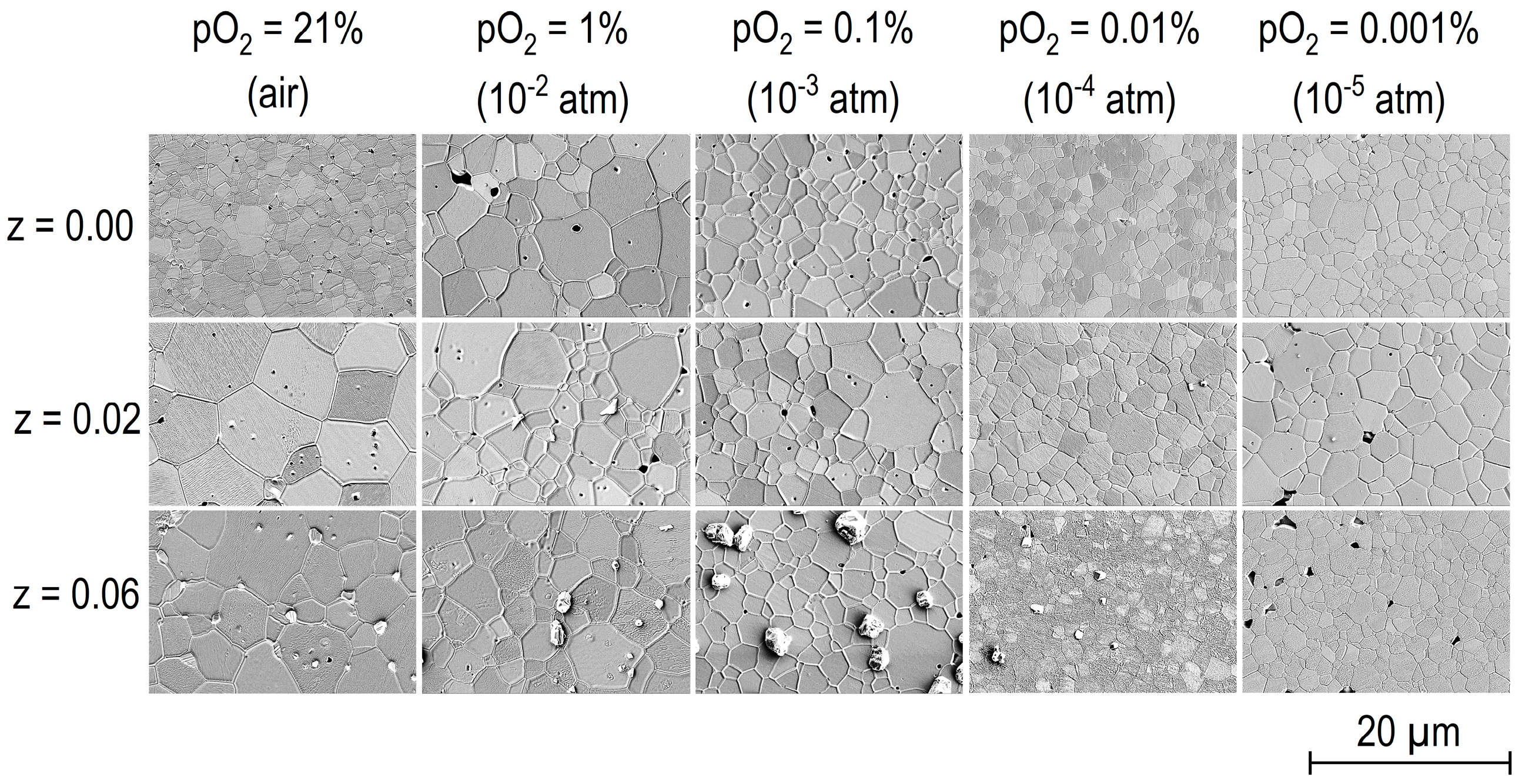 Magnetochemistry 10 00097 g002