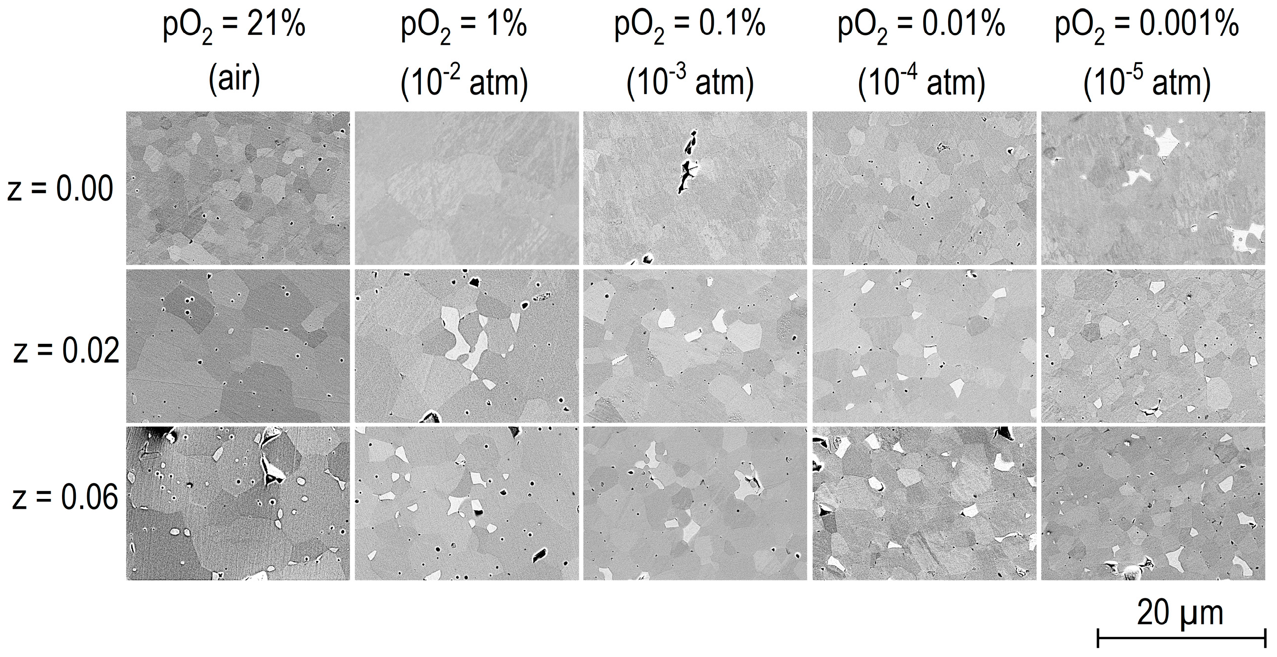 Magnetochemistry 10 00097 g003
