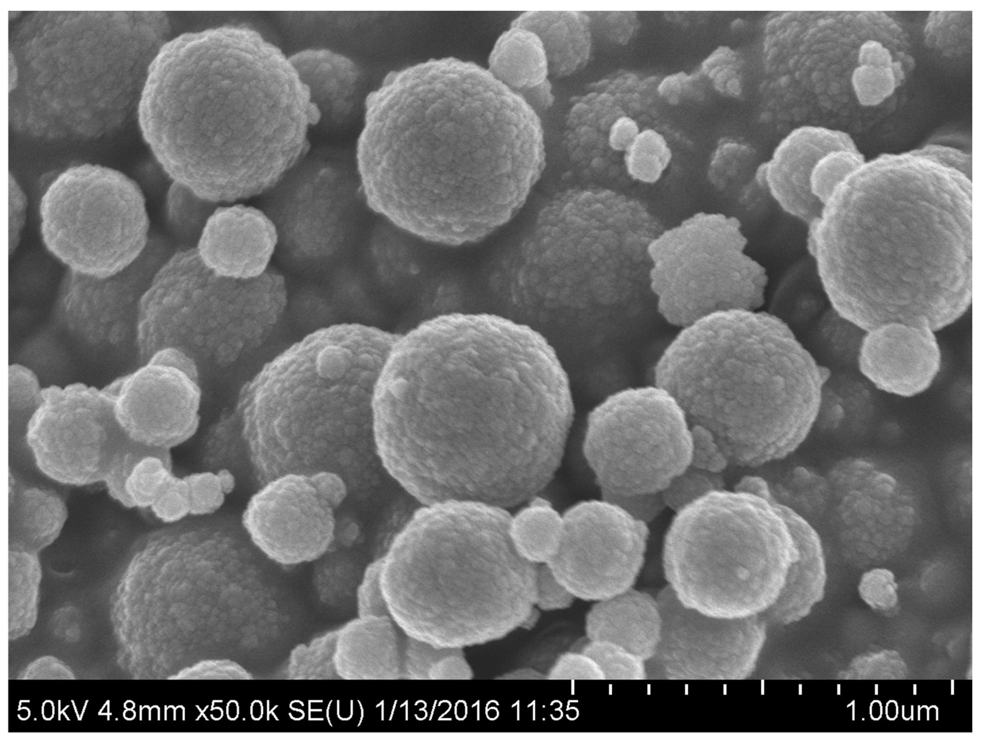 Magnetochemistry 10 00105 g008