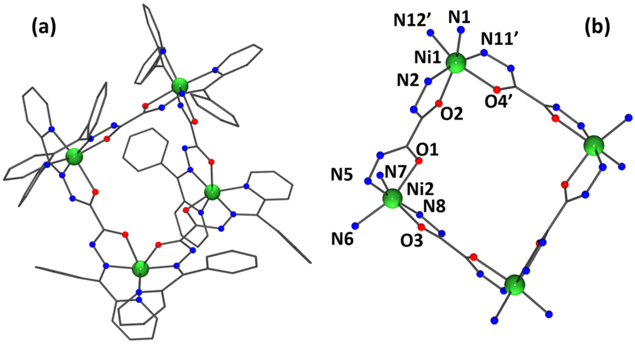 Magnetochemistry 11 00004 g006
