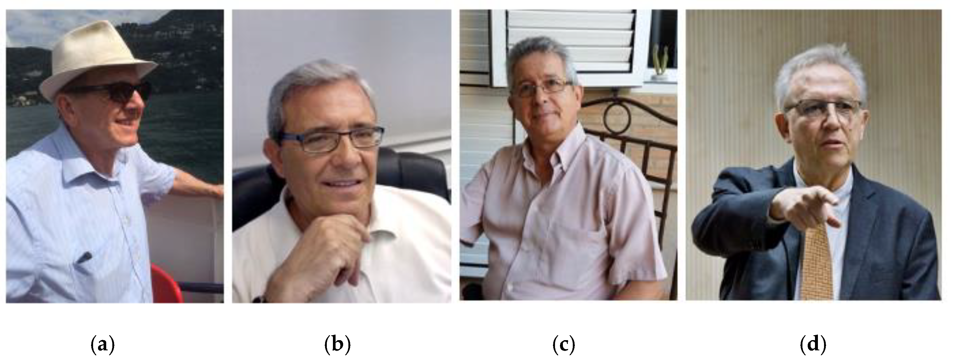 Magnetochemistry 11 00006 g009 Magnetochemistry 11 00006 g009
