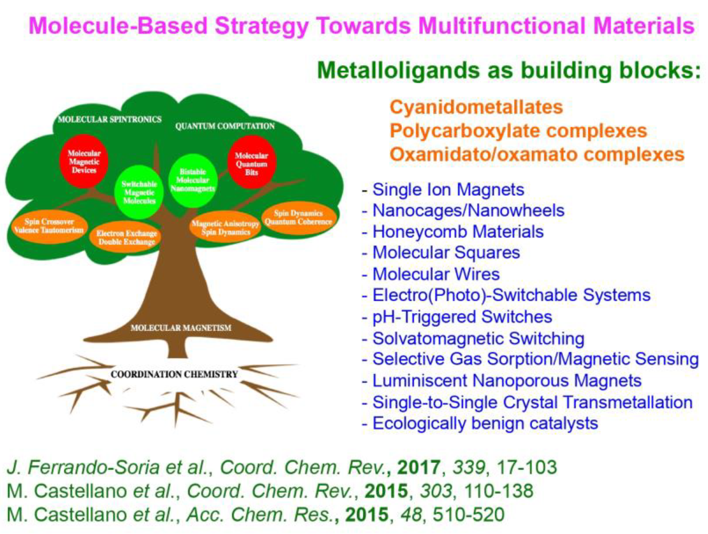 Magnetochemistry 11 00006 g016 Magnetochemistry 11 00006 g016