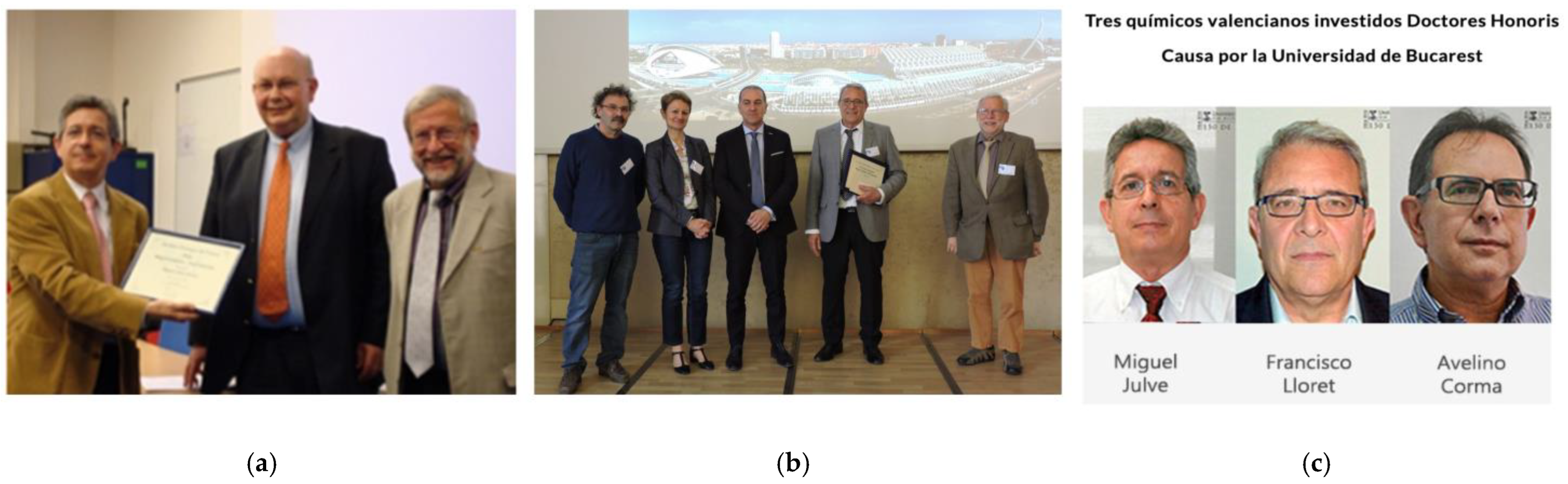 Magnetochemistry 11 00006 g036 Magnetochemistry 11 00006 g036