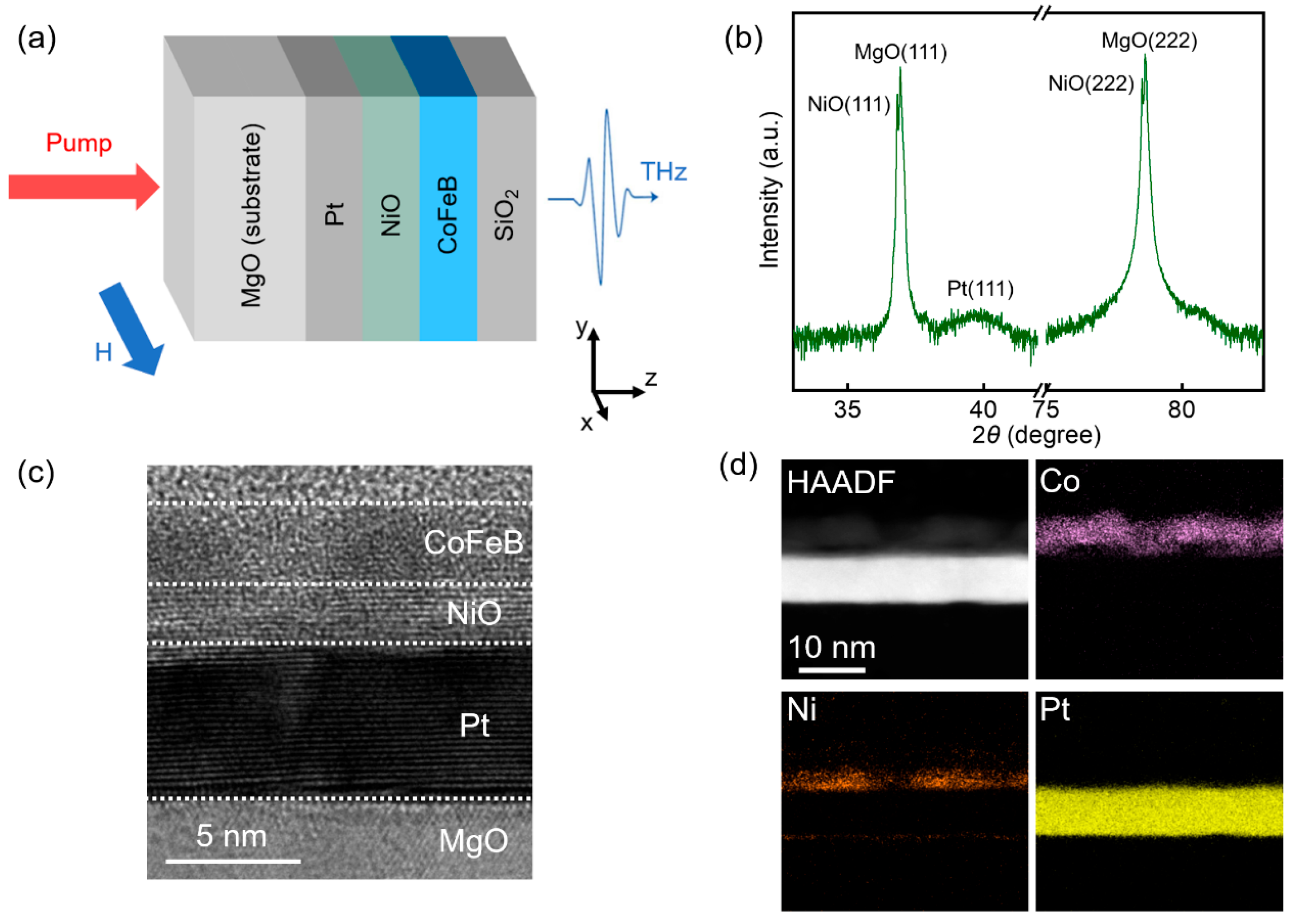 Magnetochemistry 11 00007 g001
