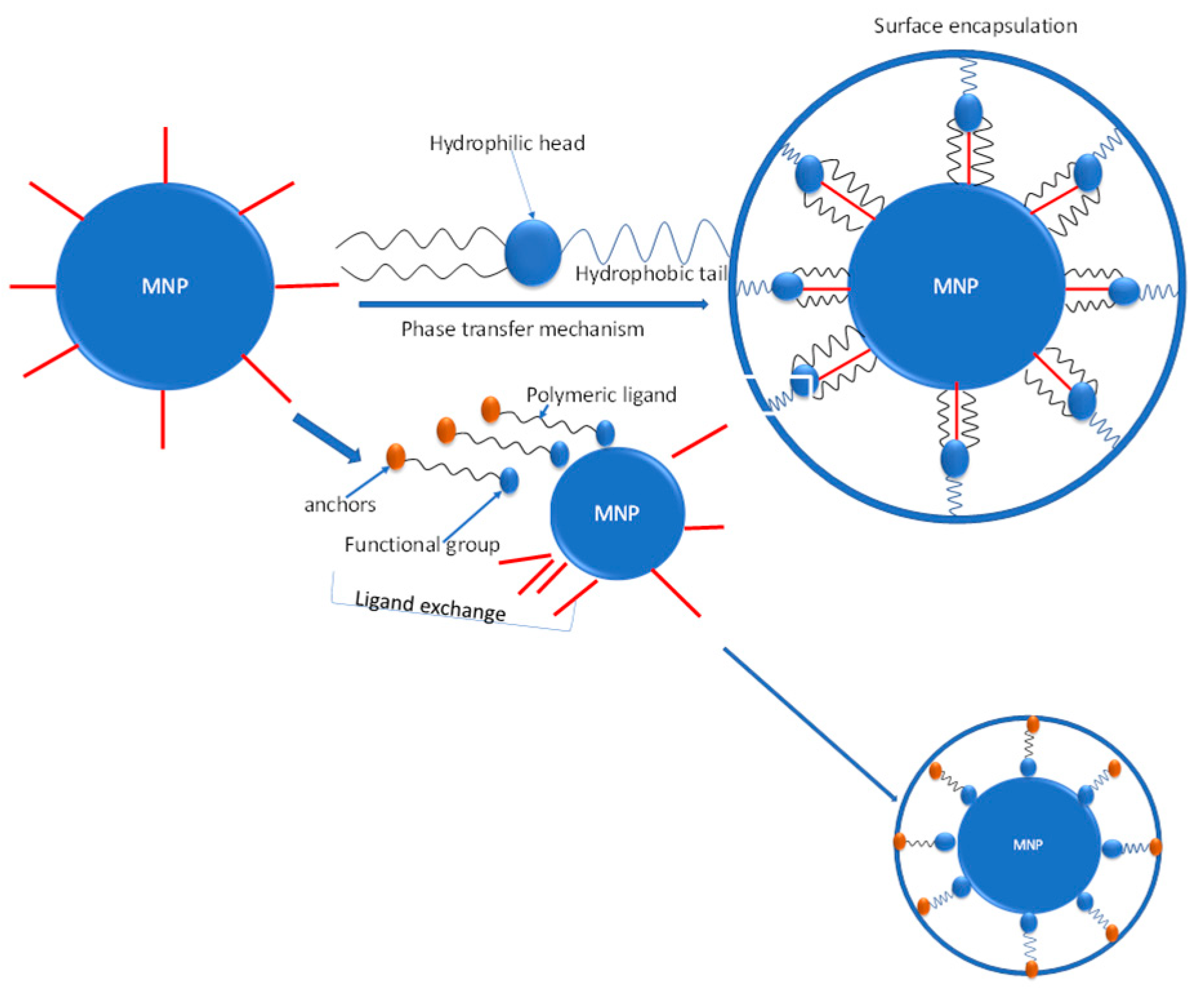 Magnetochemistry 11 00009 g003
