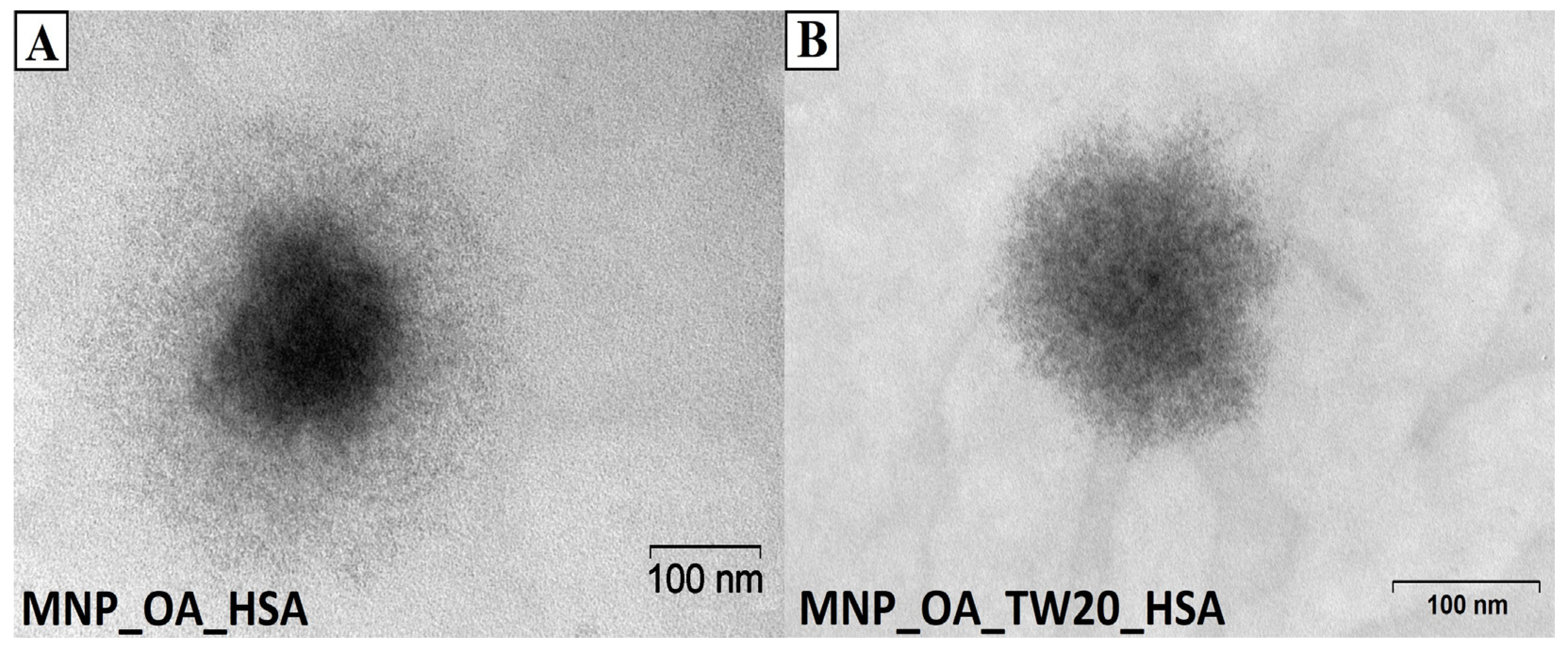 Magnetochemistry 11 00013 g009