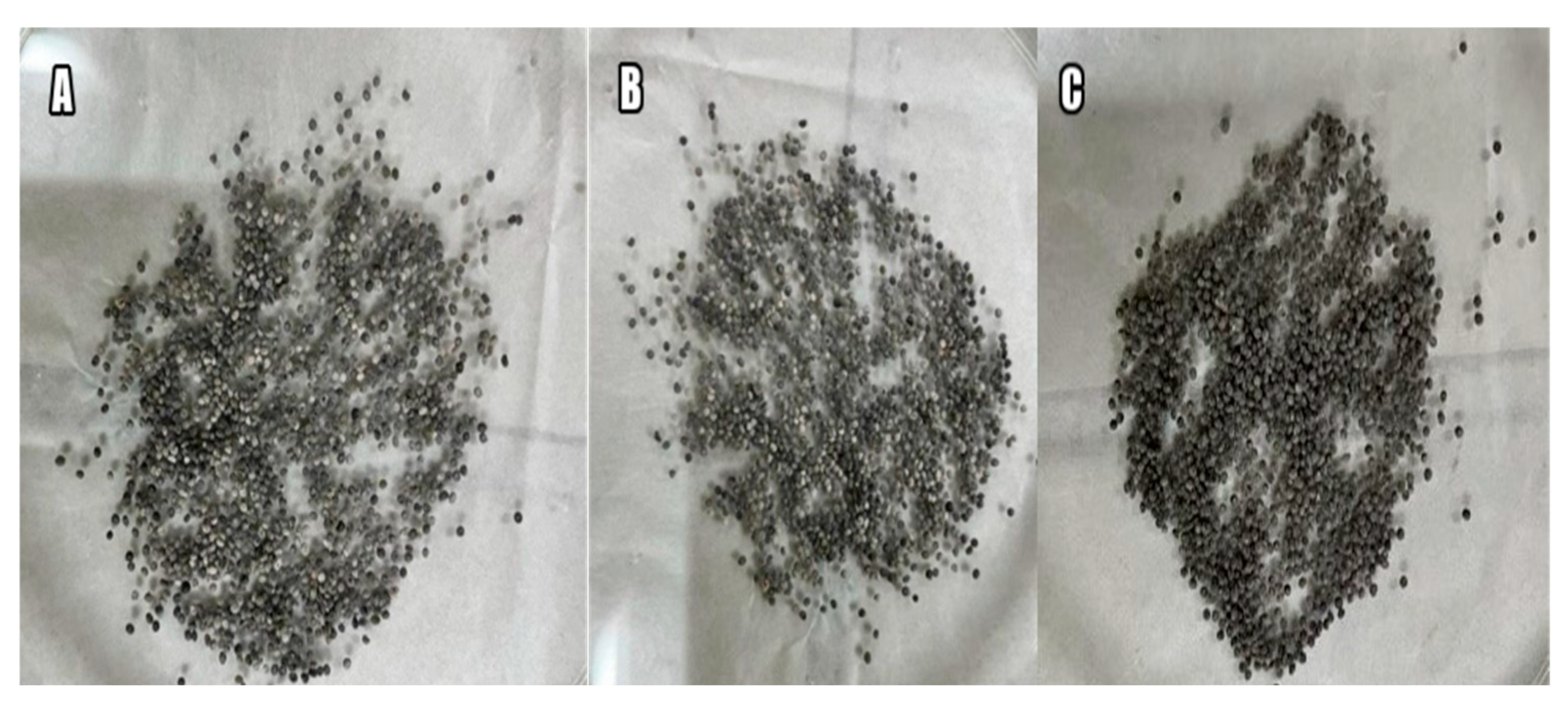 Magnetochemistry 11 00014 g004