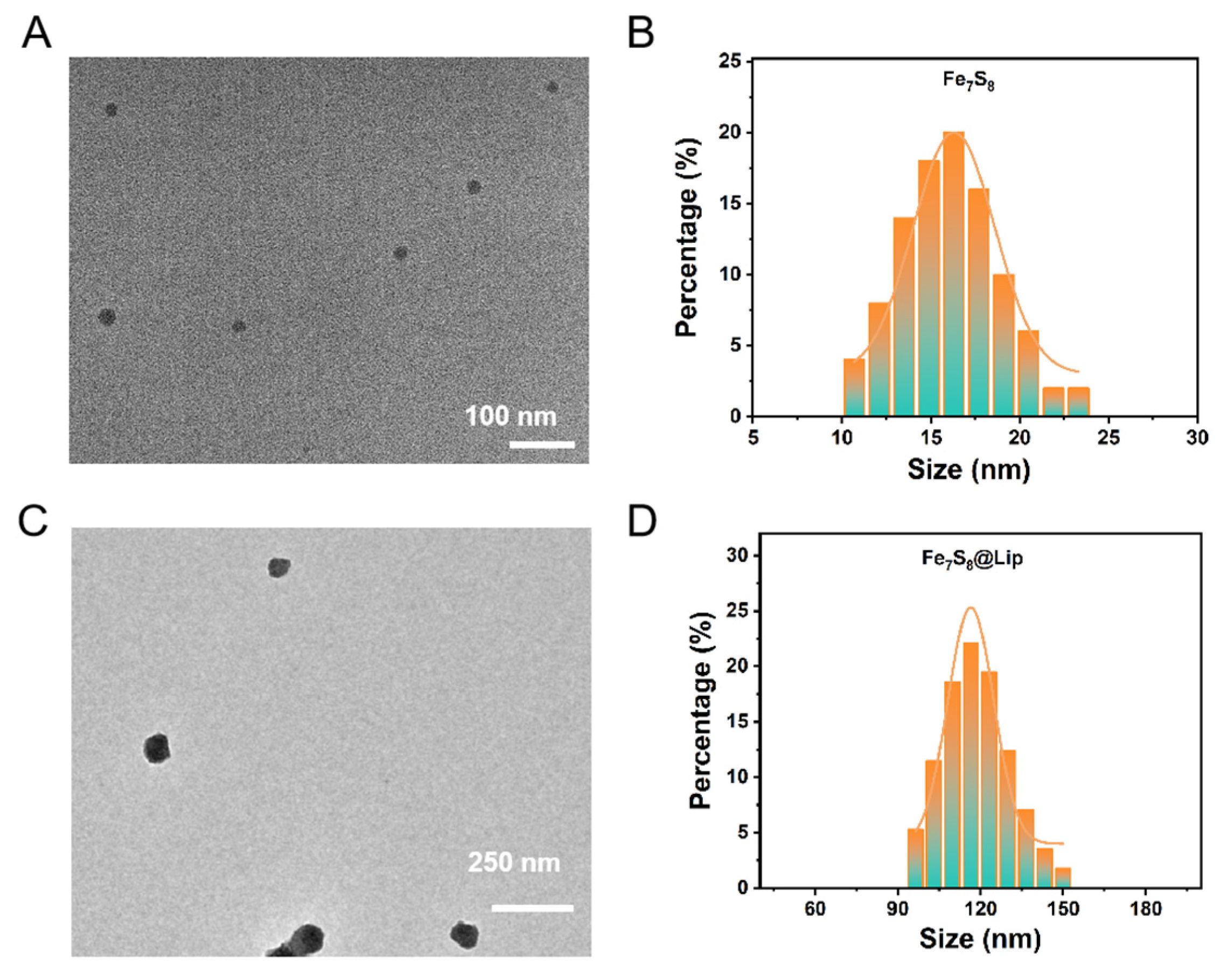 Magnetochemistry 11 00022 g001