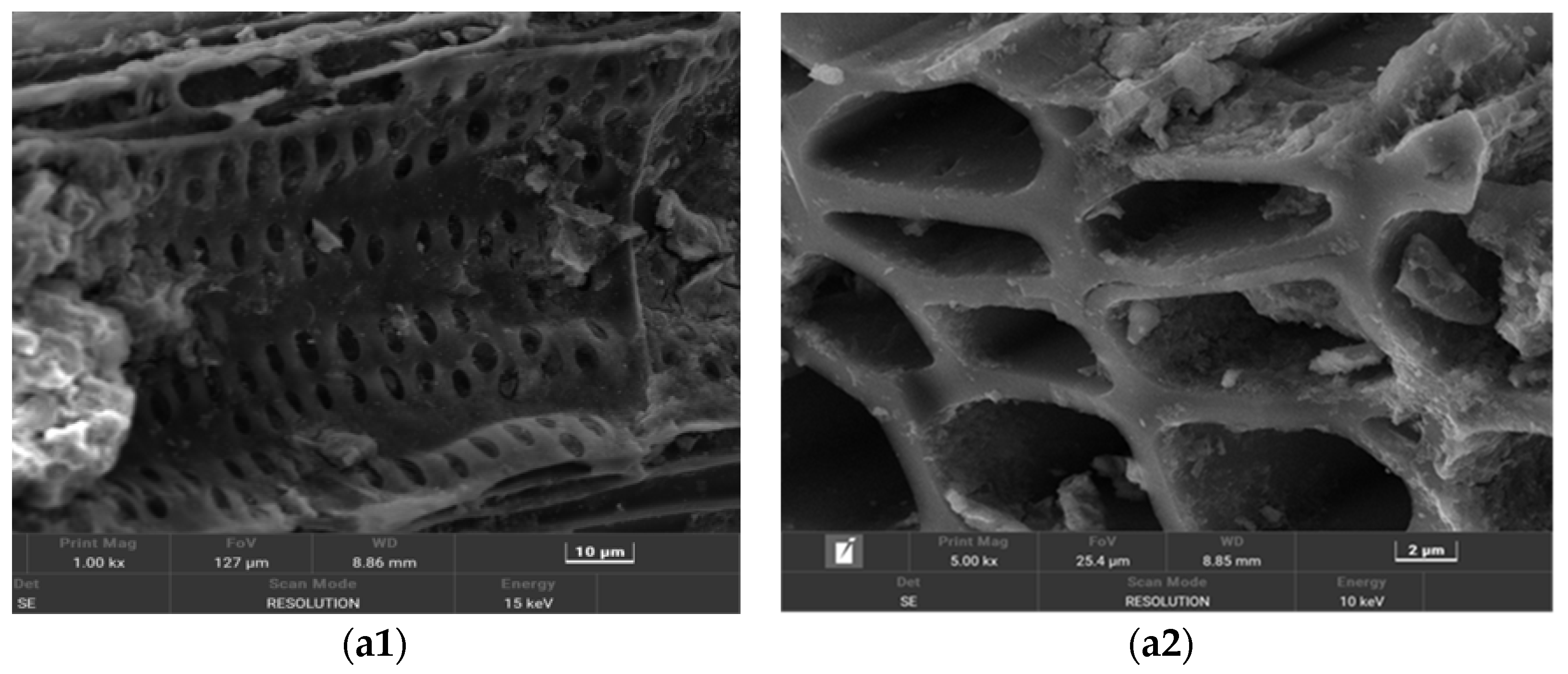 Magnetochemistry 11 00027 g002a