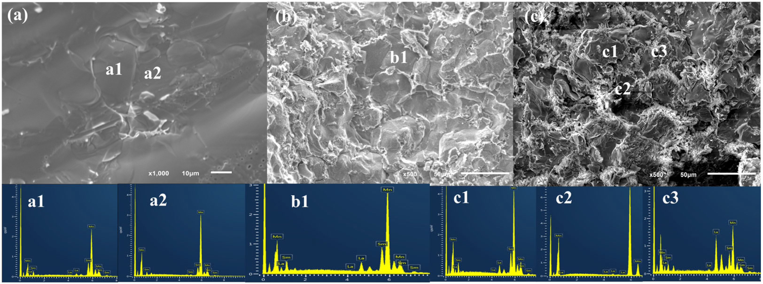 Magnetochemistry 11 00045 g002