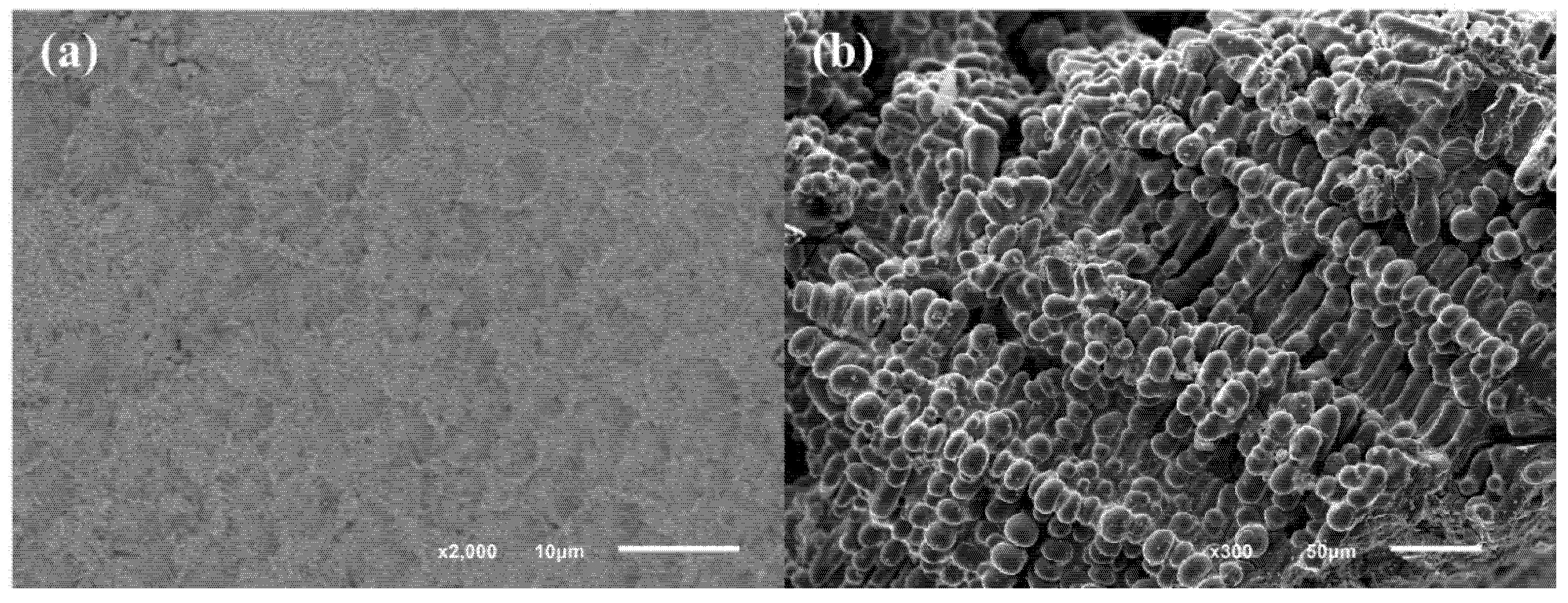 Magnetochemistry 11 00045 g003