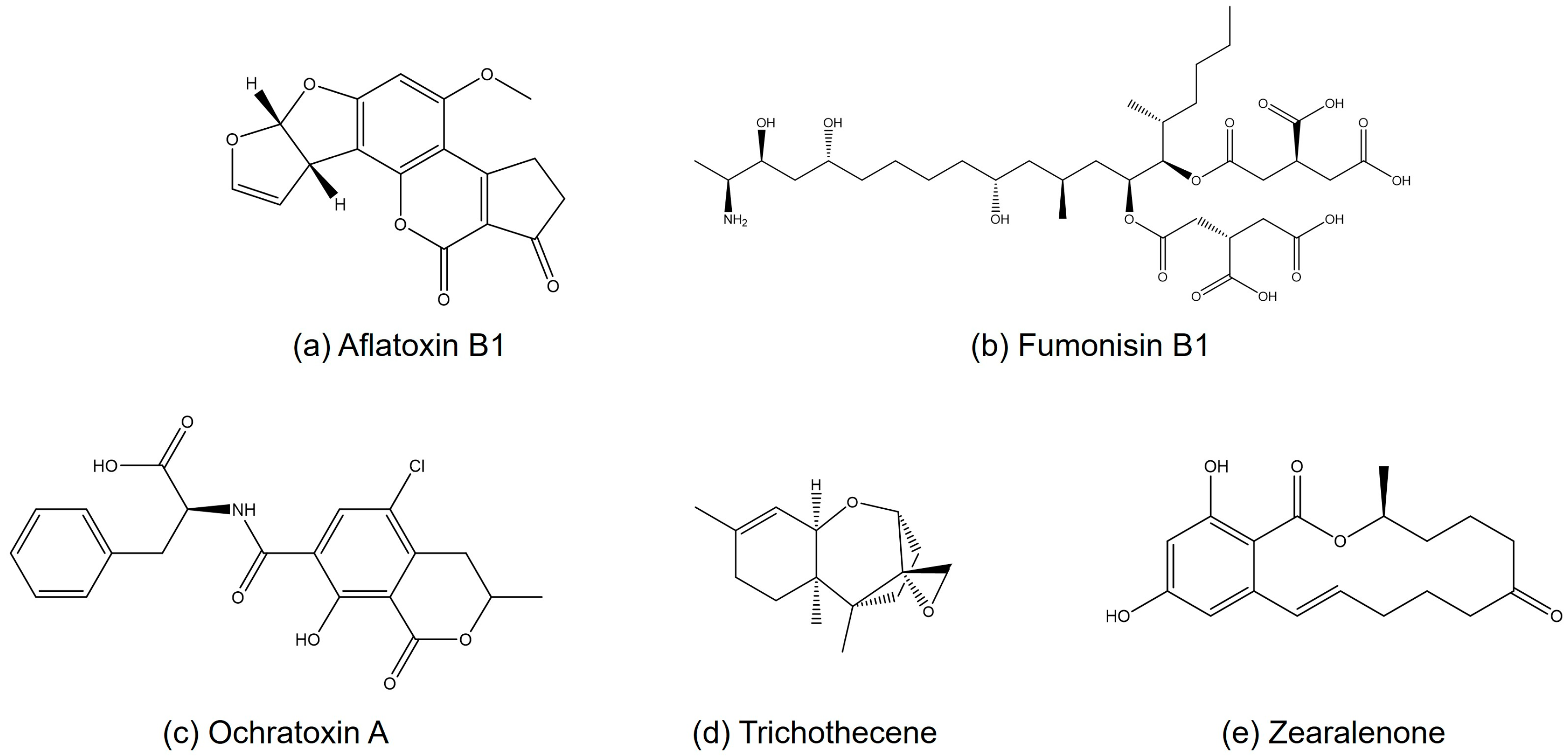 Magnetochemistry 11 00047 g002