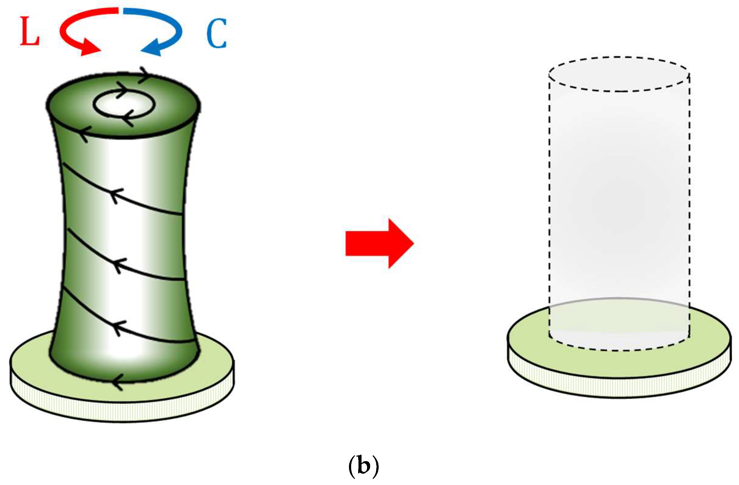 Magnetochemistry 11 00051 g007b Magnetochemistry 11 00051 g007b