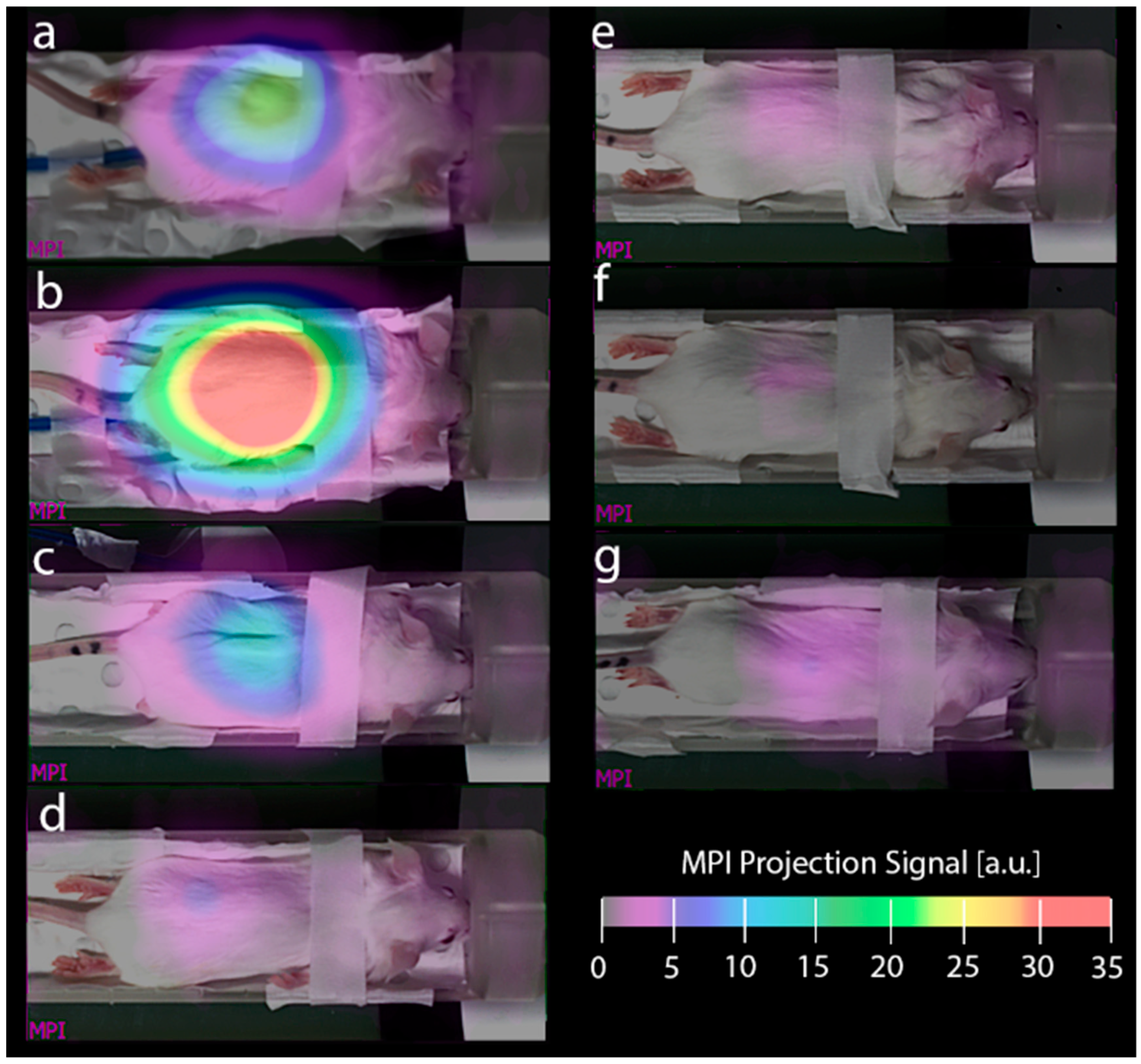 Magnetochemistry 11 00063 g005