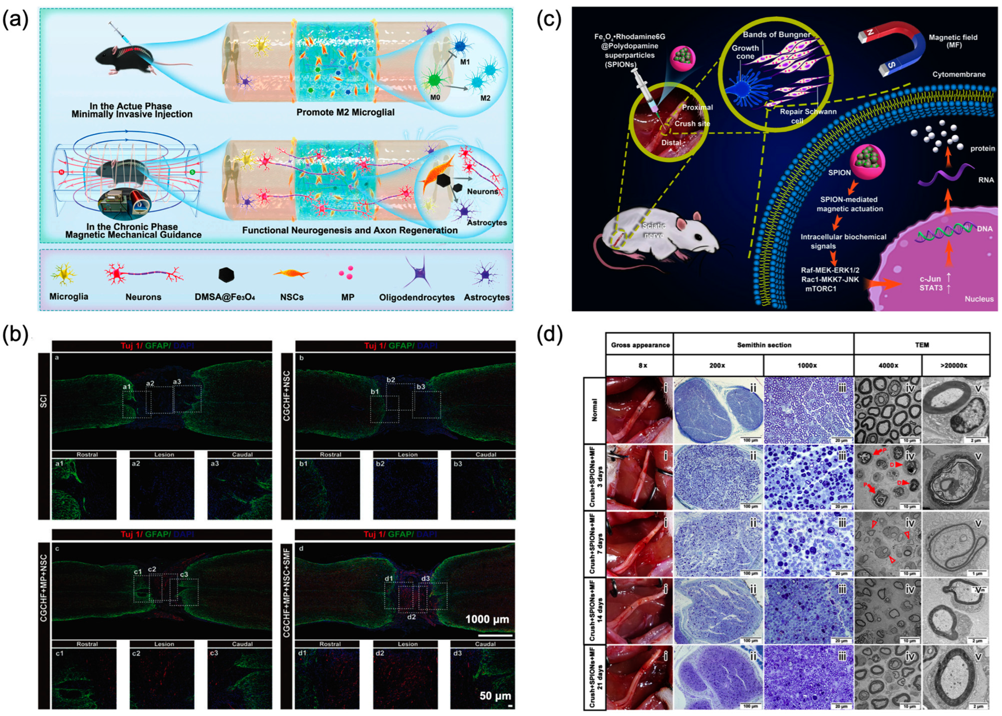 Magnetochemistry 11 00082 g005 Magnetochemistry 11 00082 g005