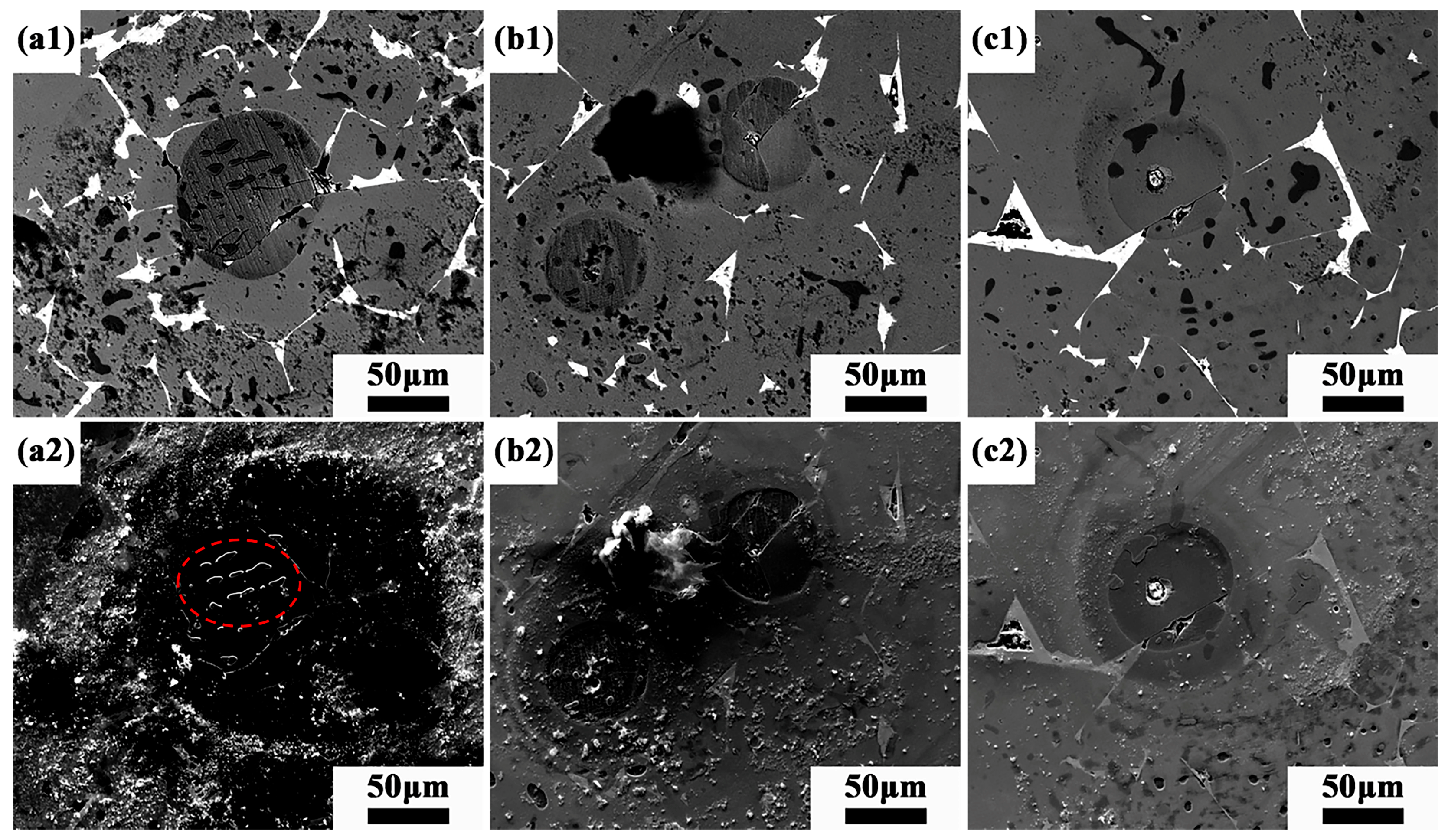 Magnetochemistry 11 00101 g004 Magnetochemistry 11 00101 g004