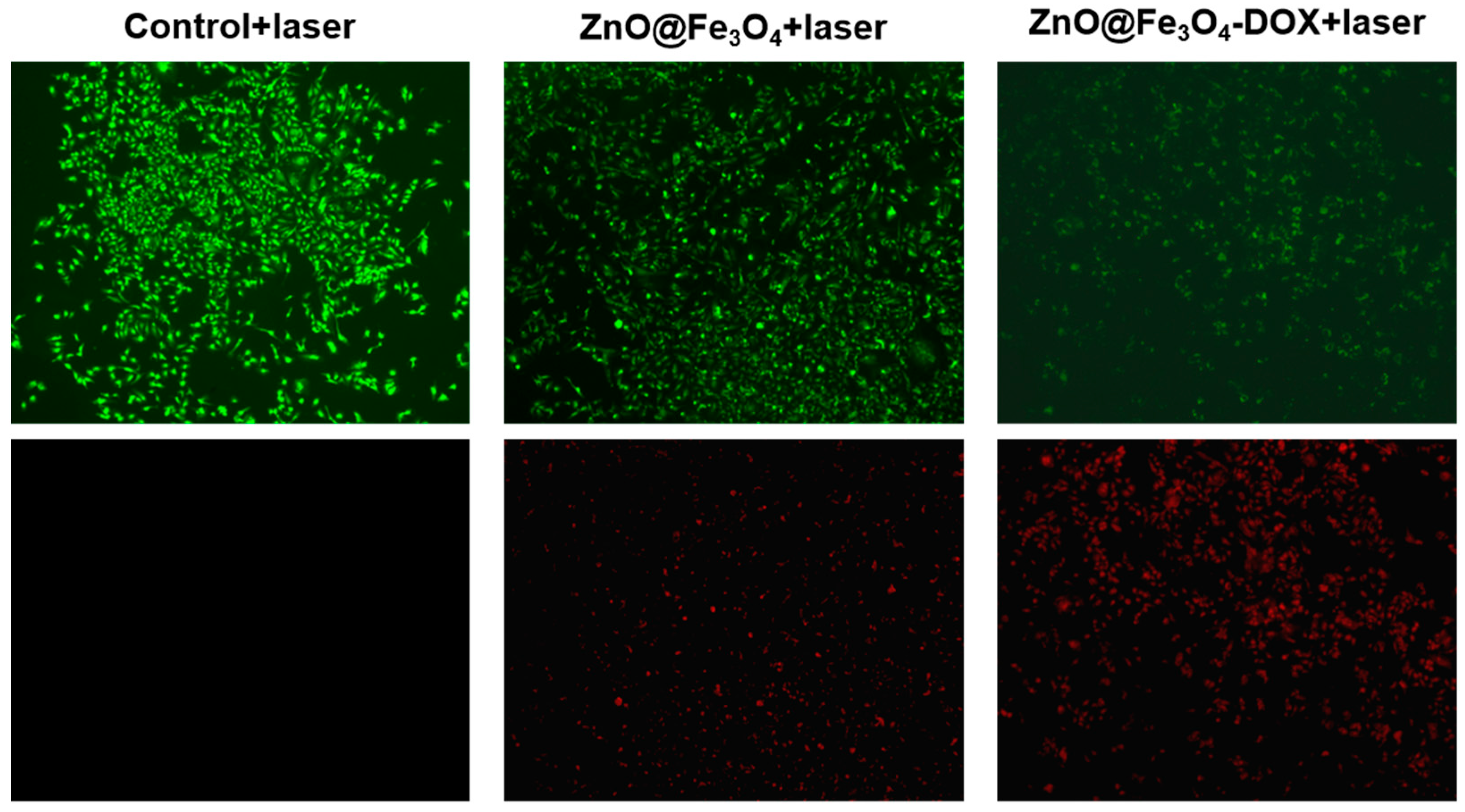 Magnetochemistry 12 00002 g007