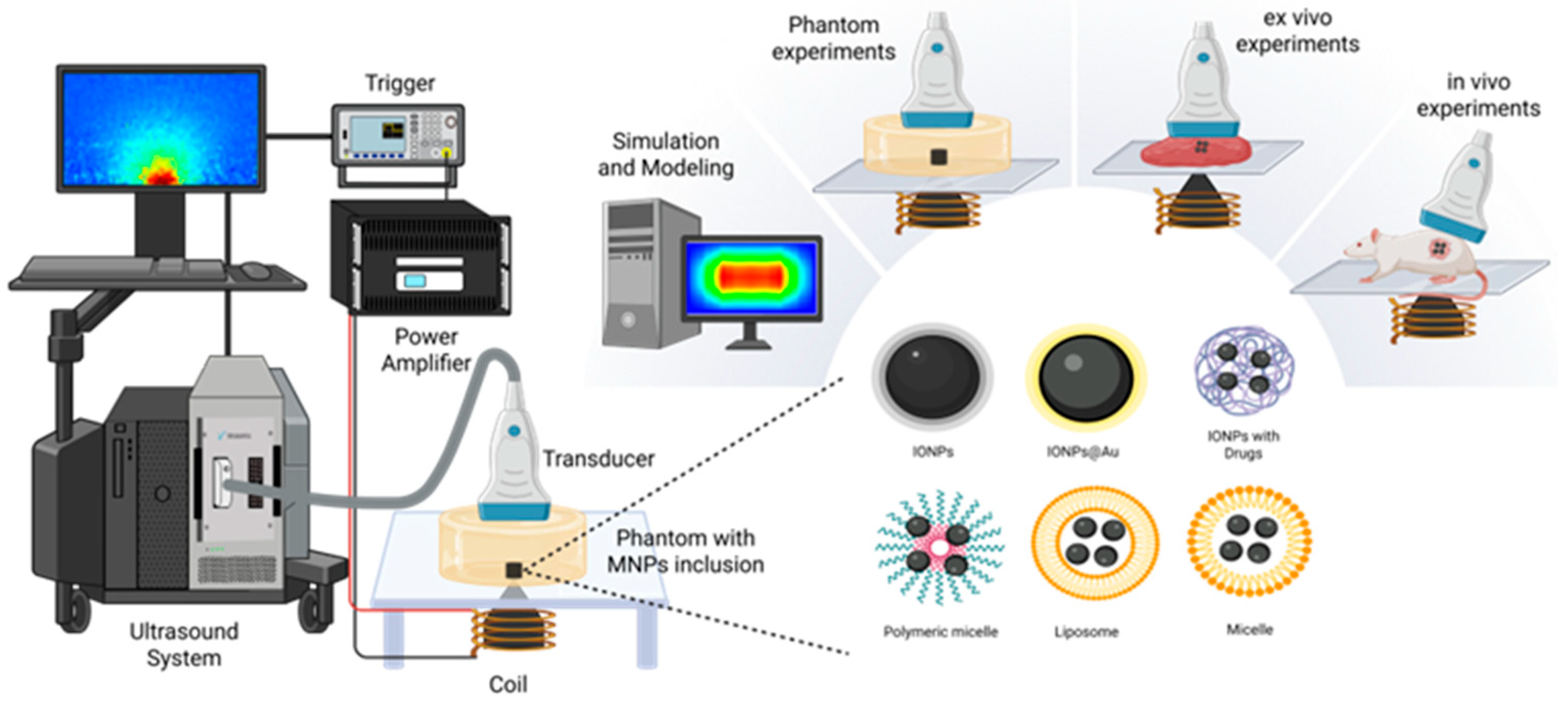 Magnetochemistry 12 00021 g002 Magnetochemistry 12 00021 g002