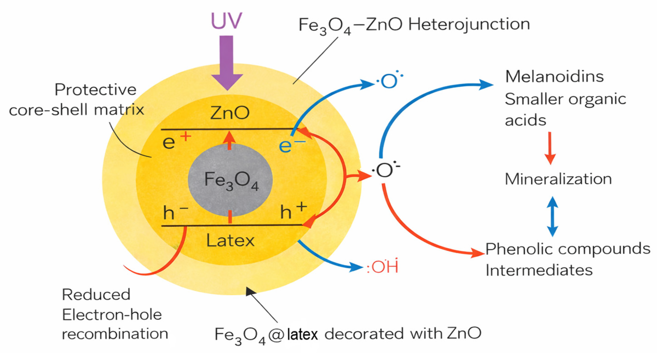 Magnetochemistry 12 00023 g008