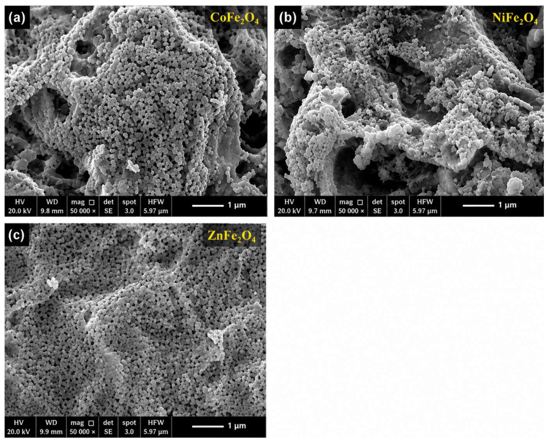 Magnetochemistry 12 00069 g004