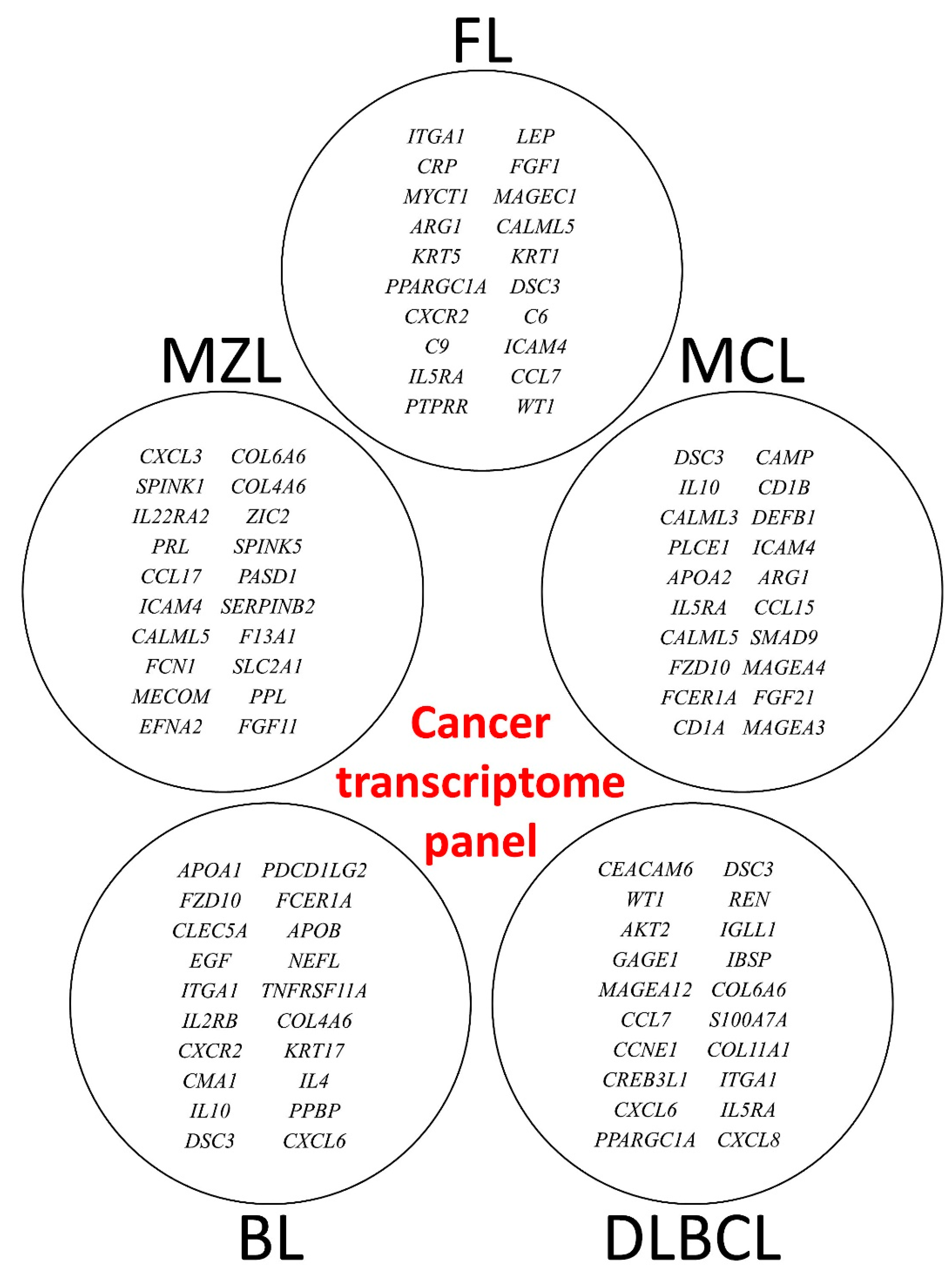 Make 03 00036 g006 Make 03 00036 g006