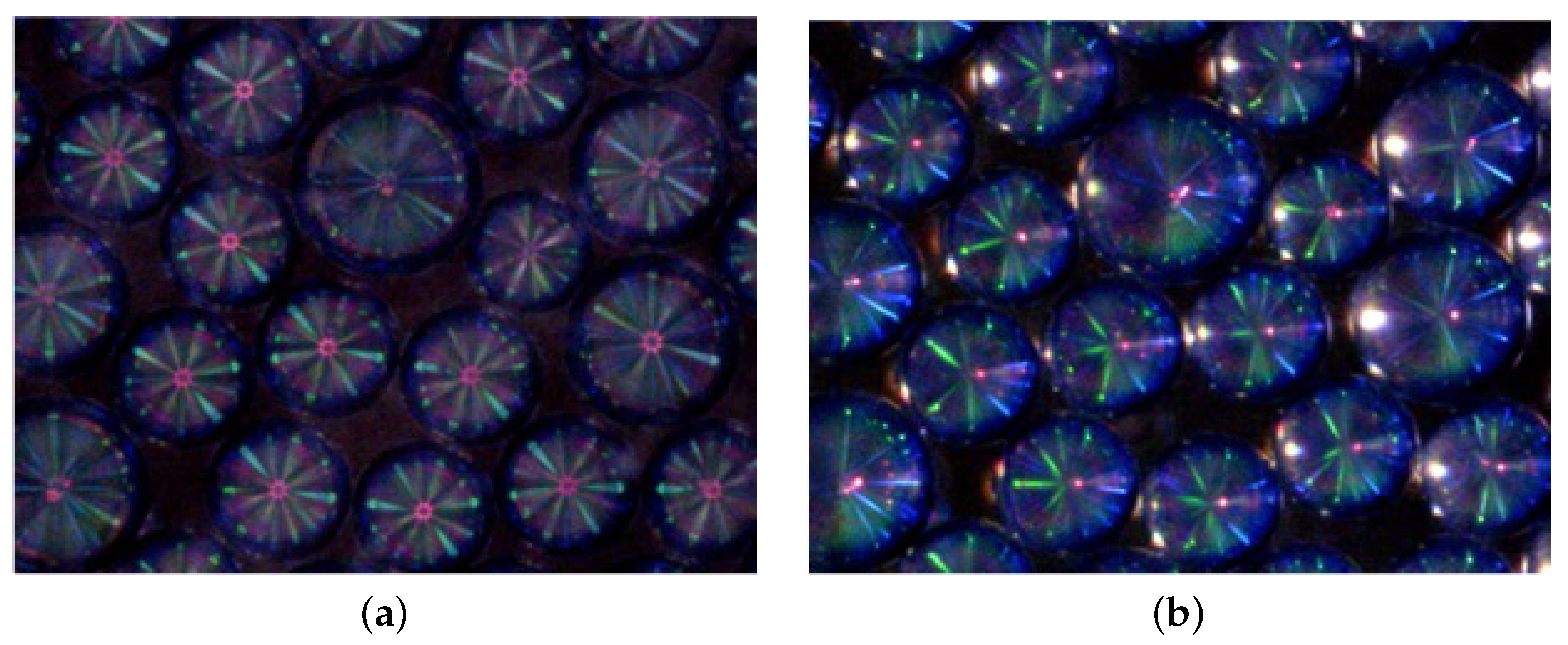 Make 04 00010 g001 550